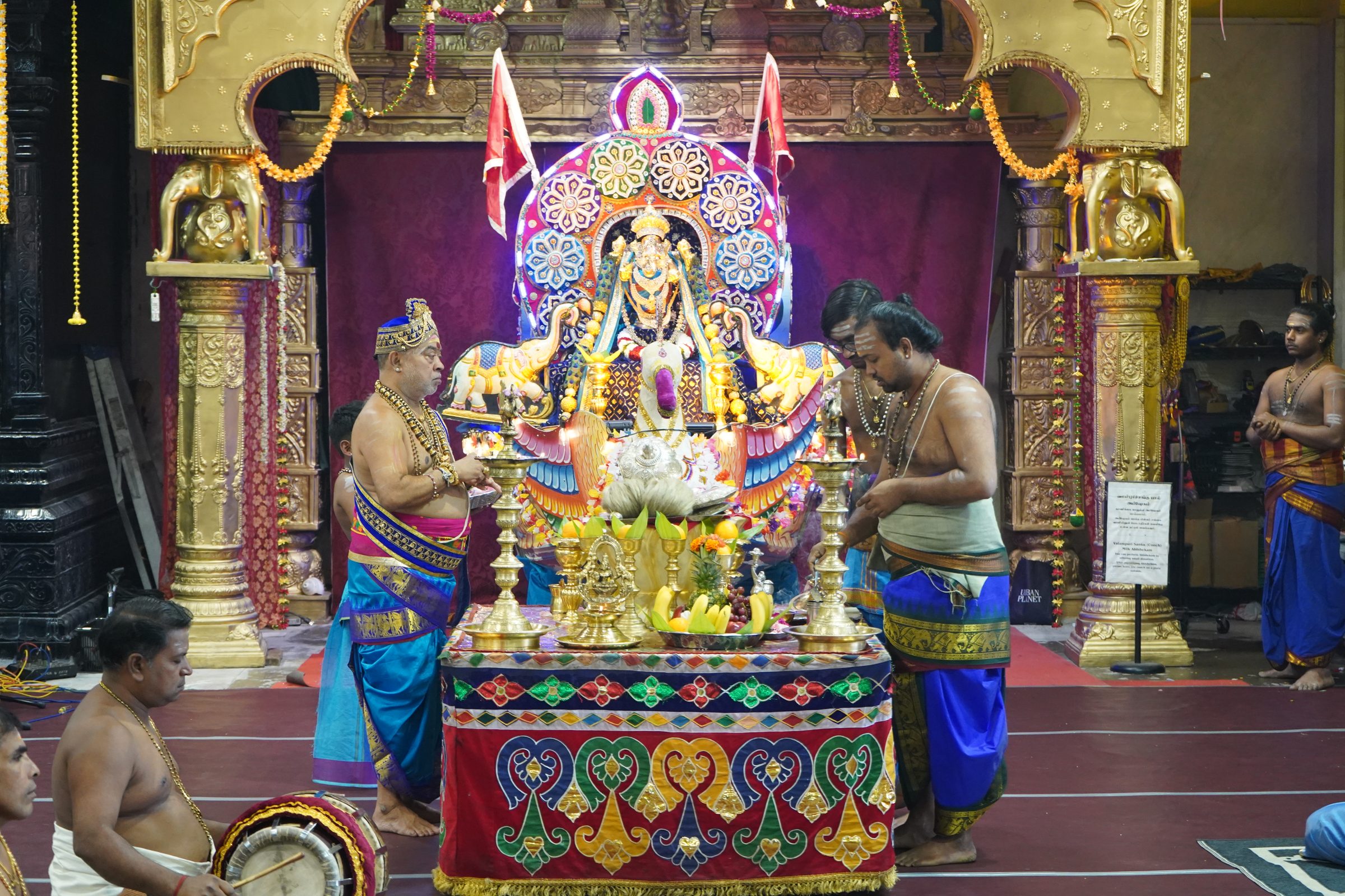 Festival 2026 photo