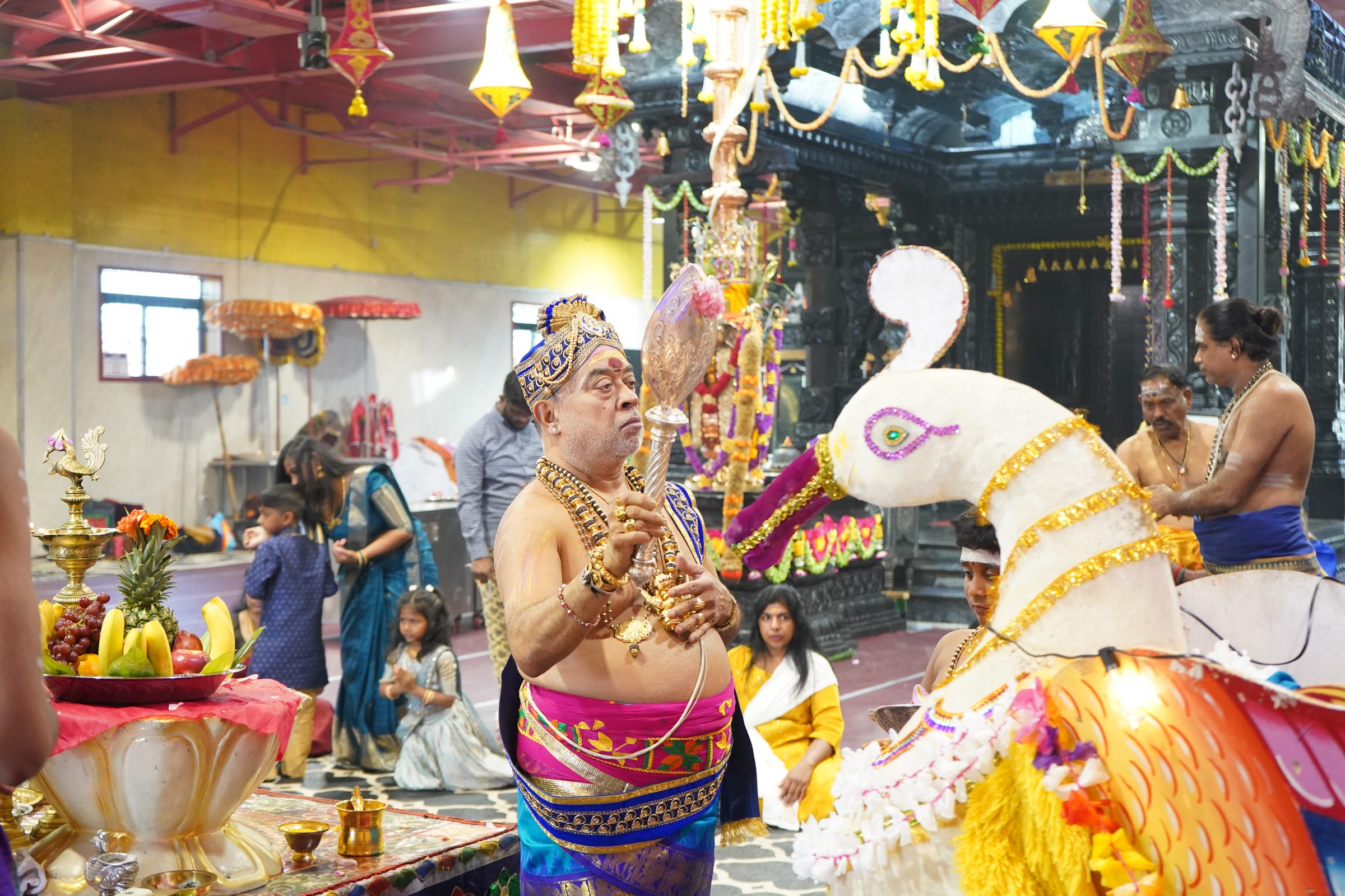 Festival 2026 photo