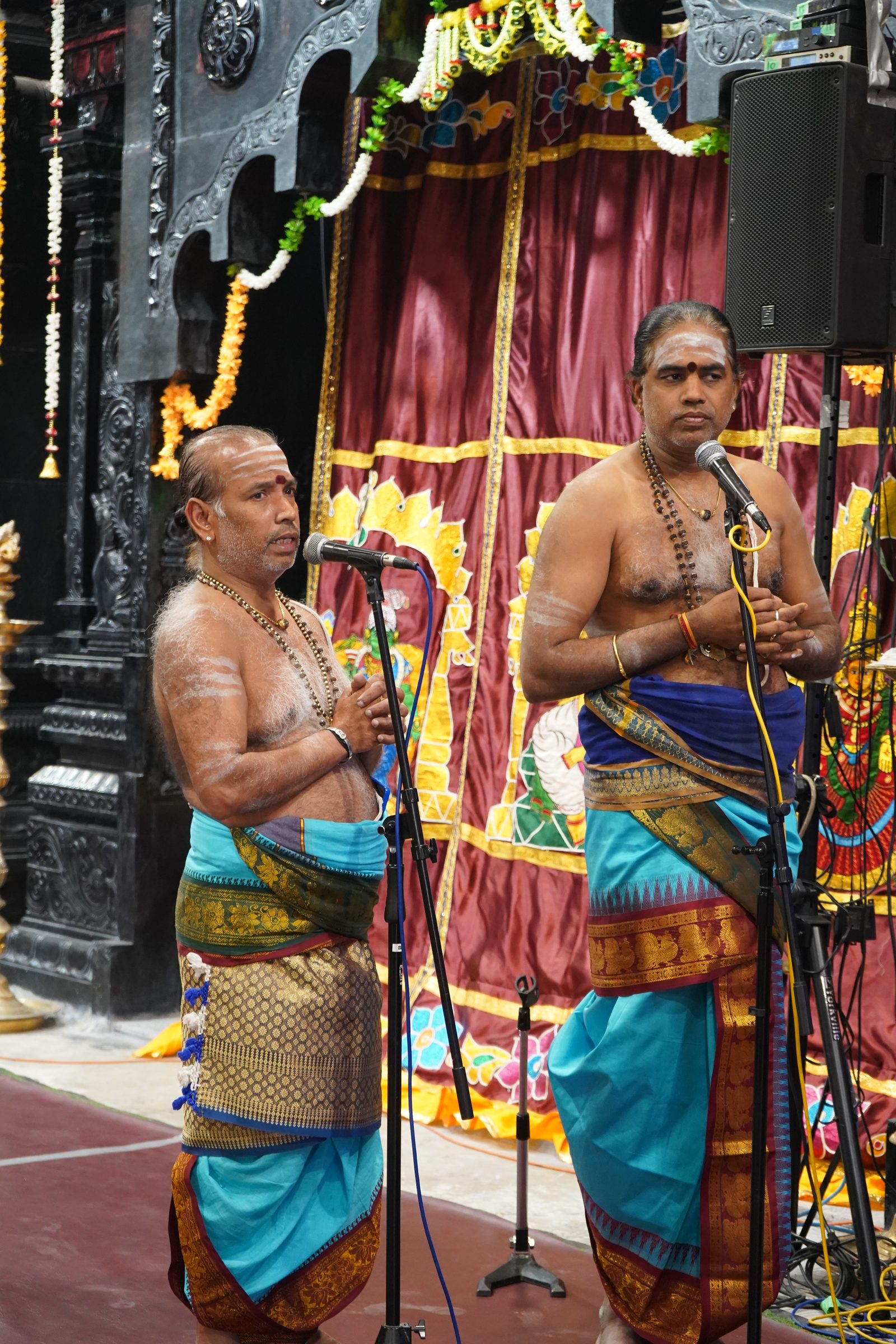 Festival 2026 photo