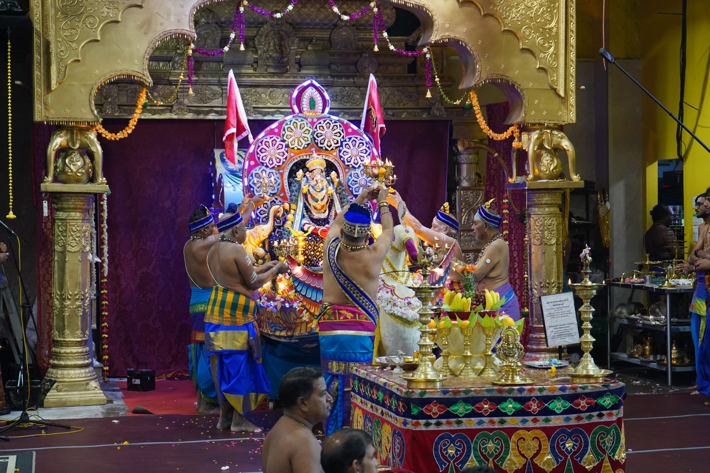 Festival 2026 photo