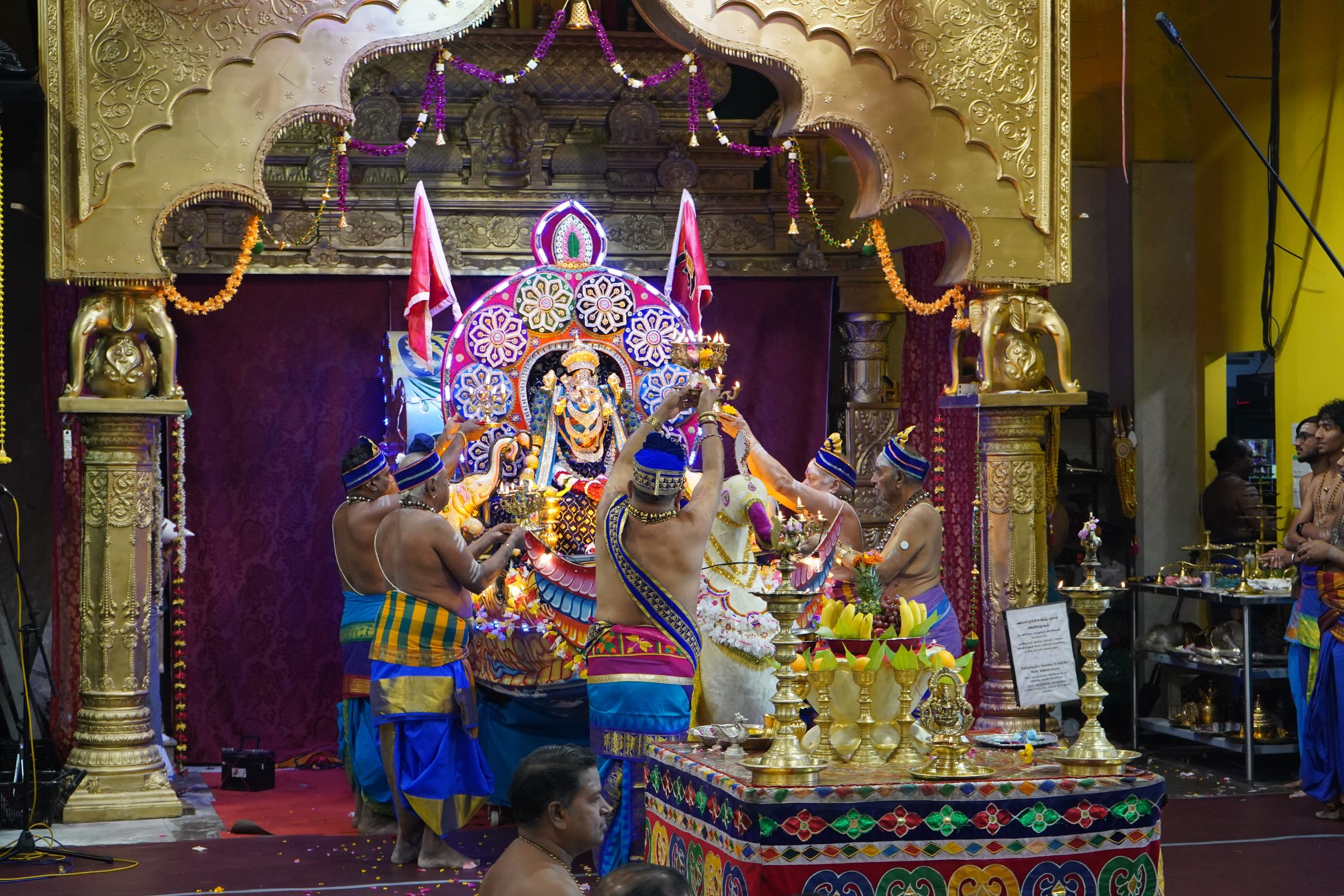 Festival 2026 photo