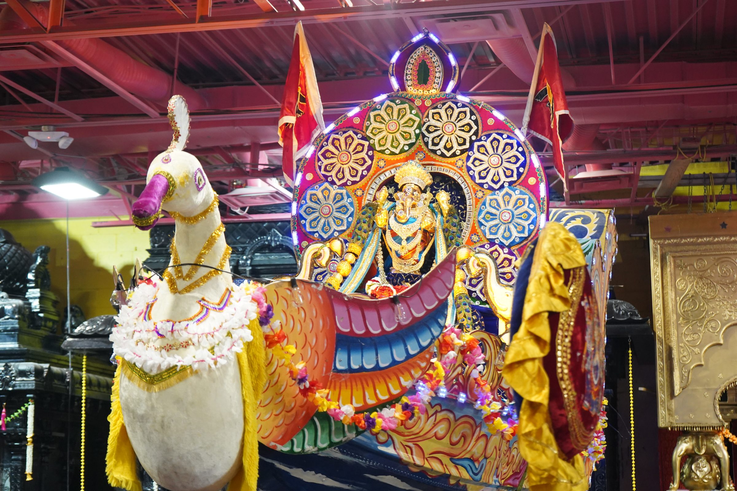 Festival 2026 photo