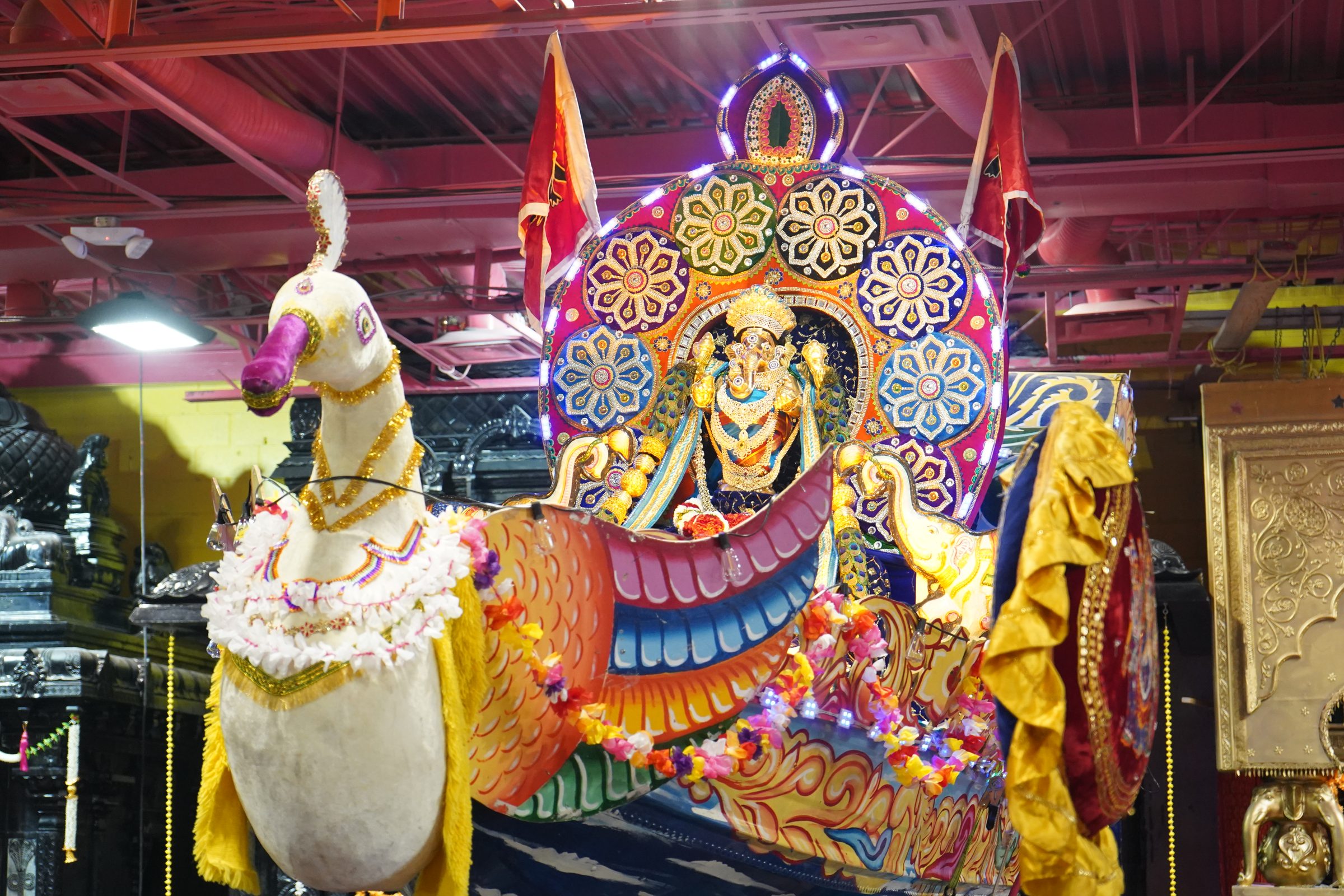 Festival 2026 photo