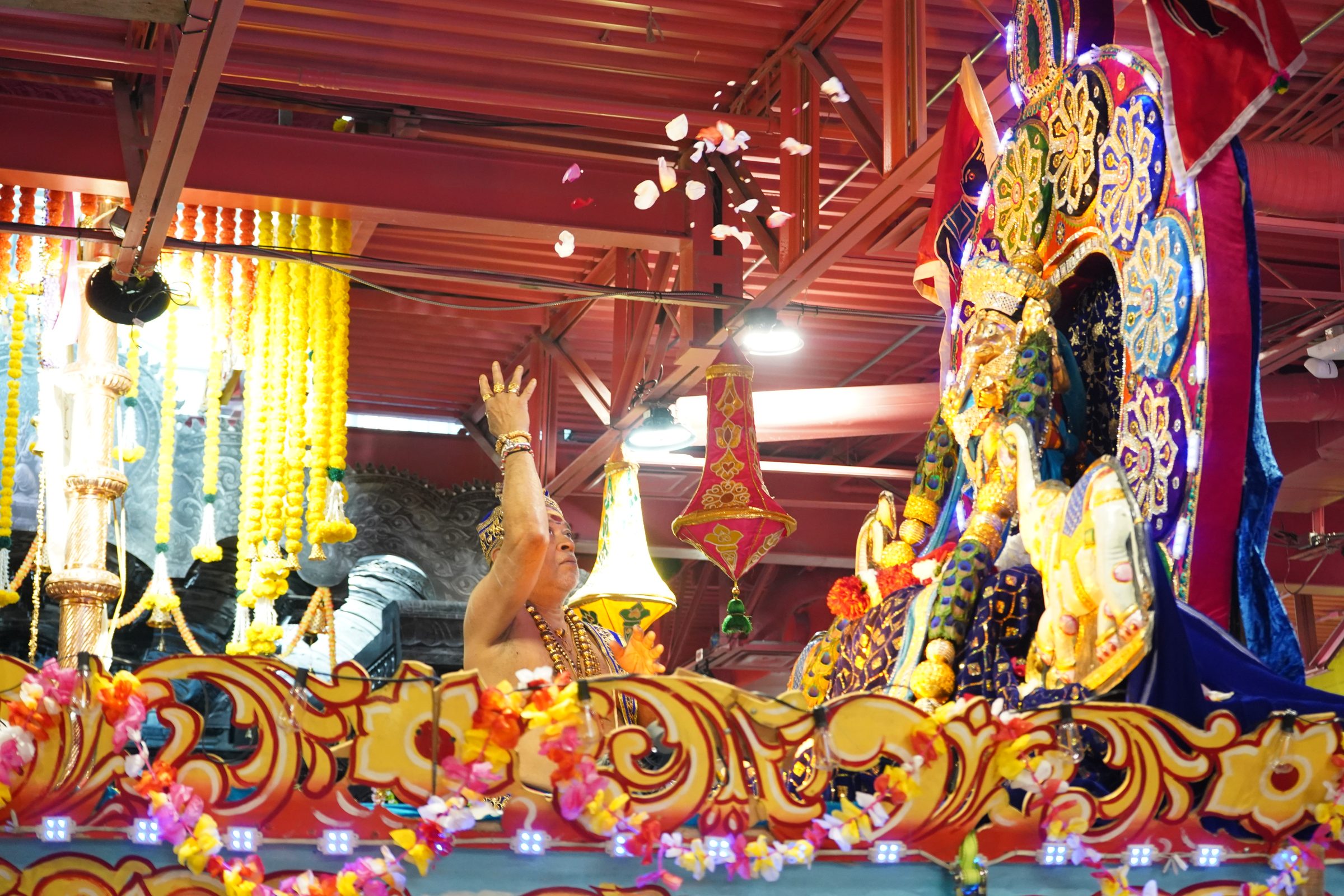 Festival 2026 photo