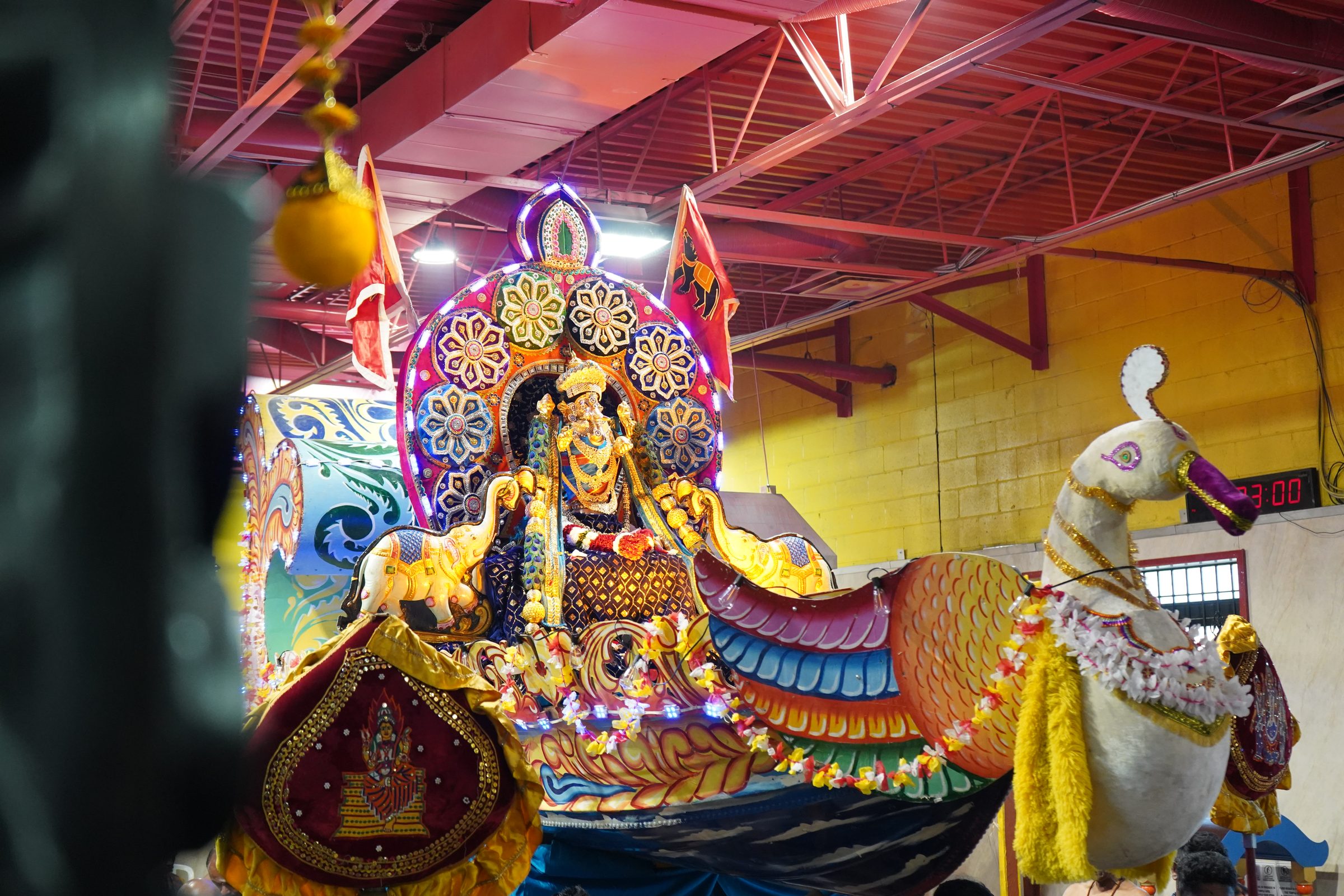 Festival 2026 photo