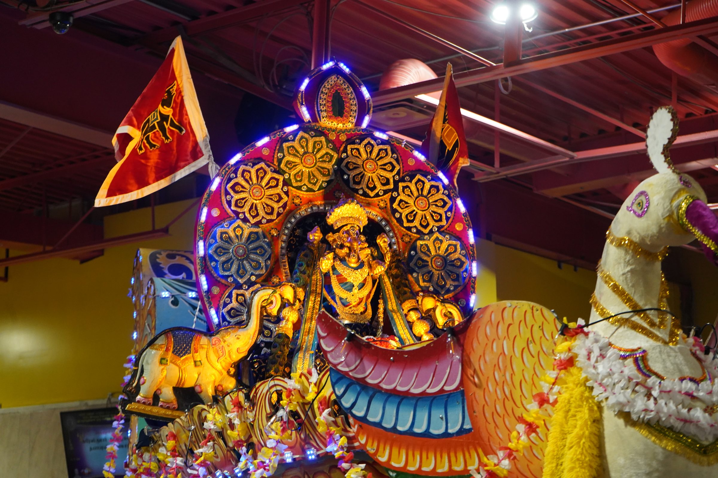 Festival 2026 photo