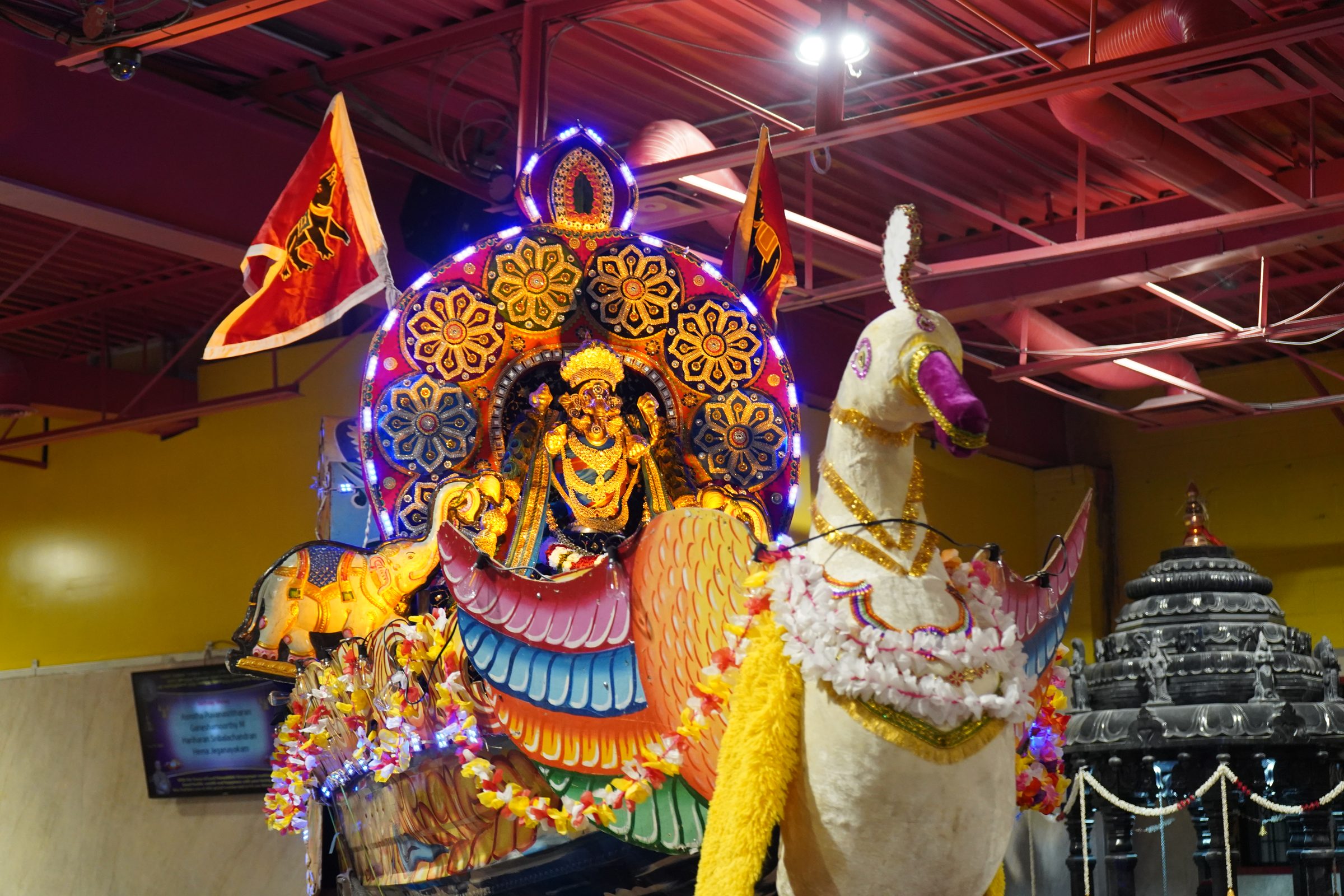 Festival 2026 photo