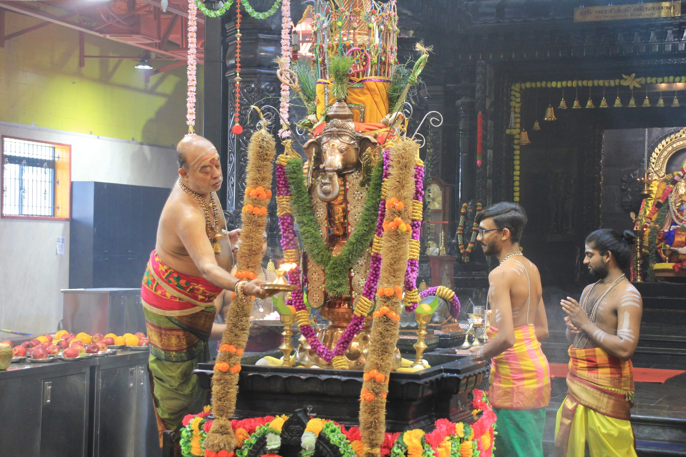 Festival 2026 photo