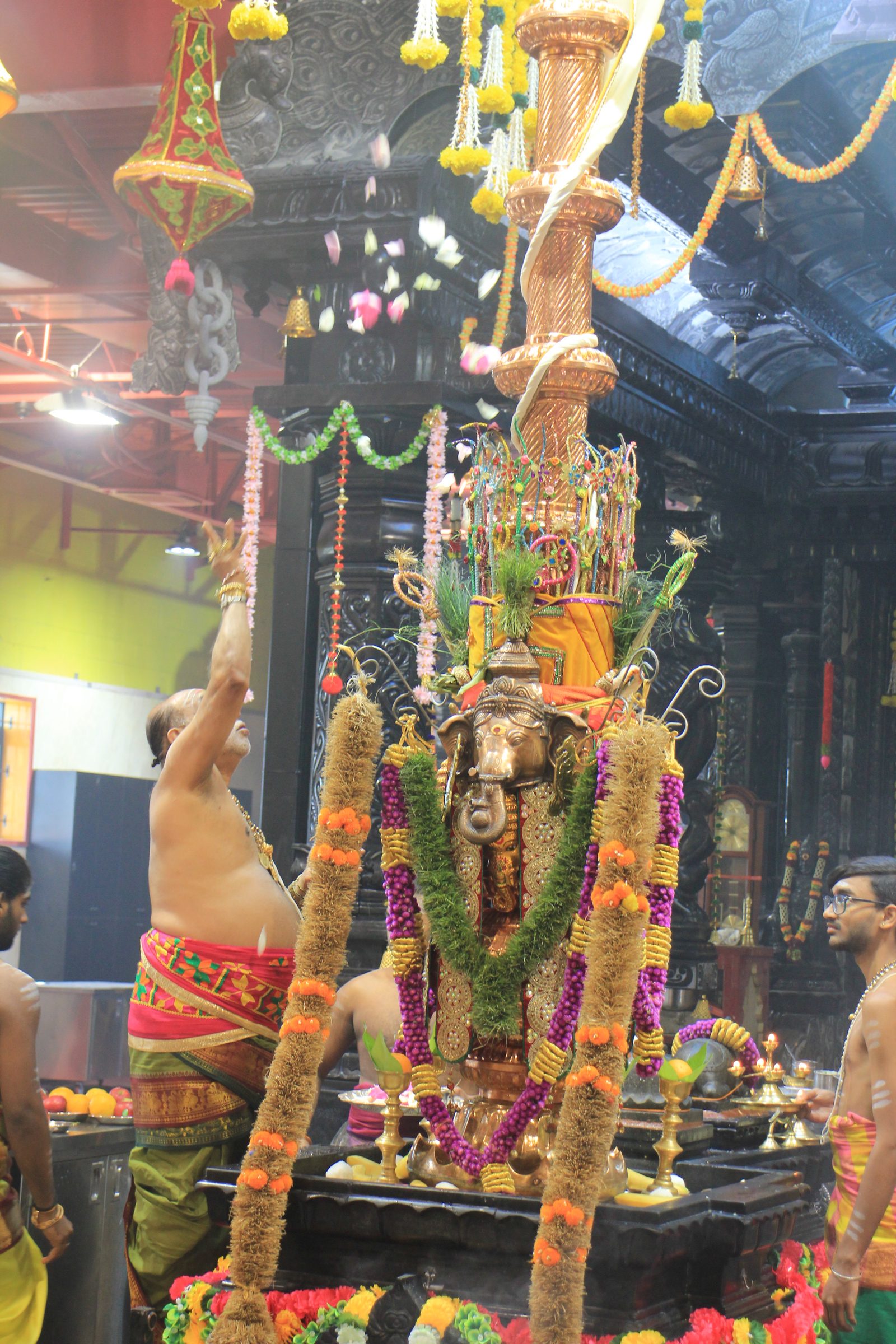 Festival 2026 photo