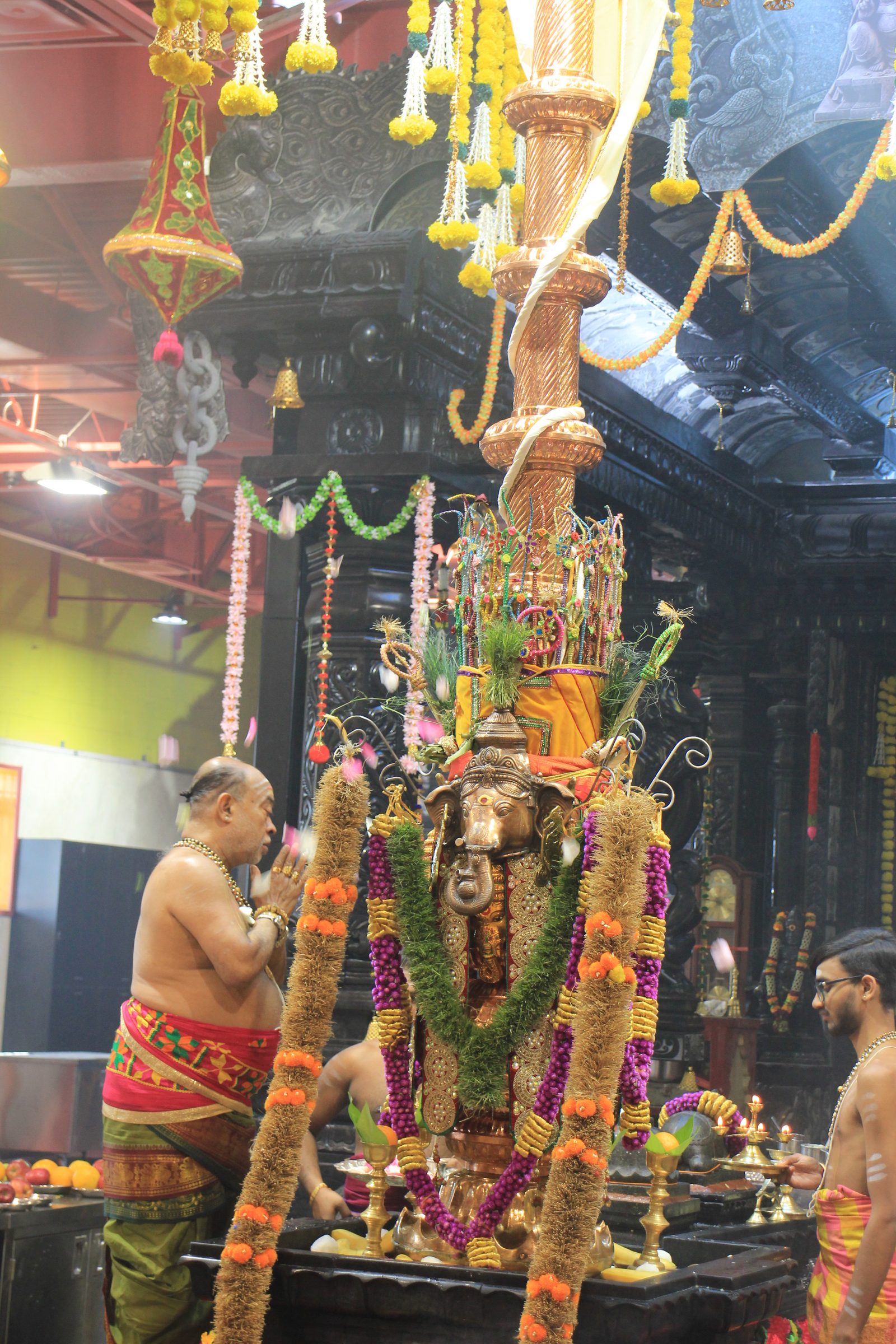 Festival 2026 photo
