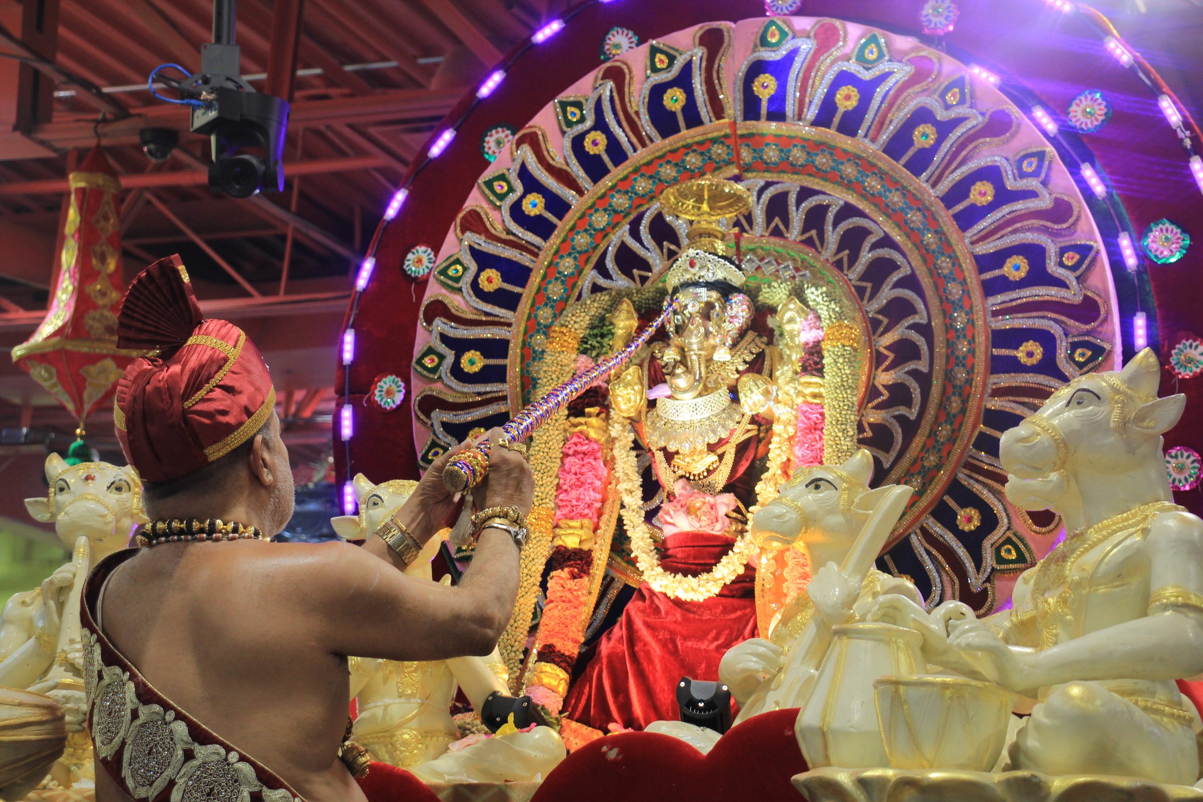 Festival 2026 photo