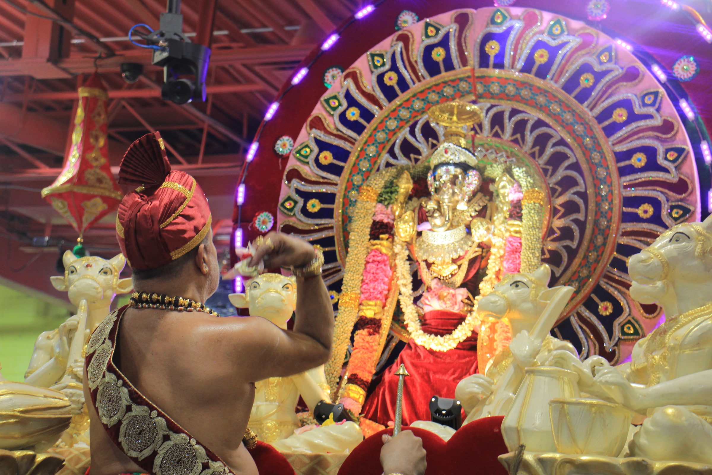 Festival 2026 photo