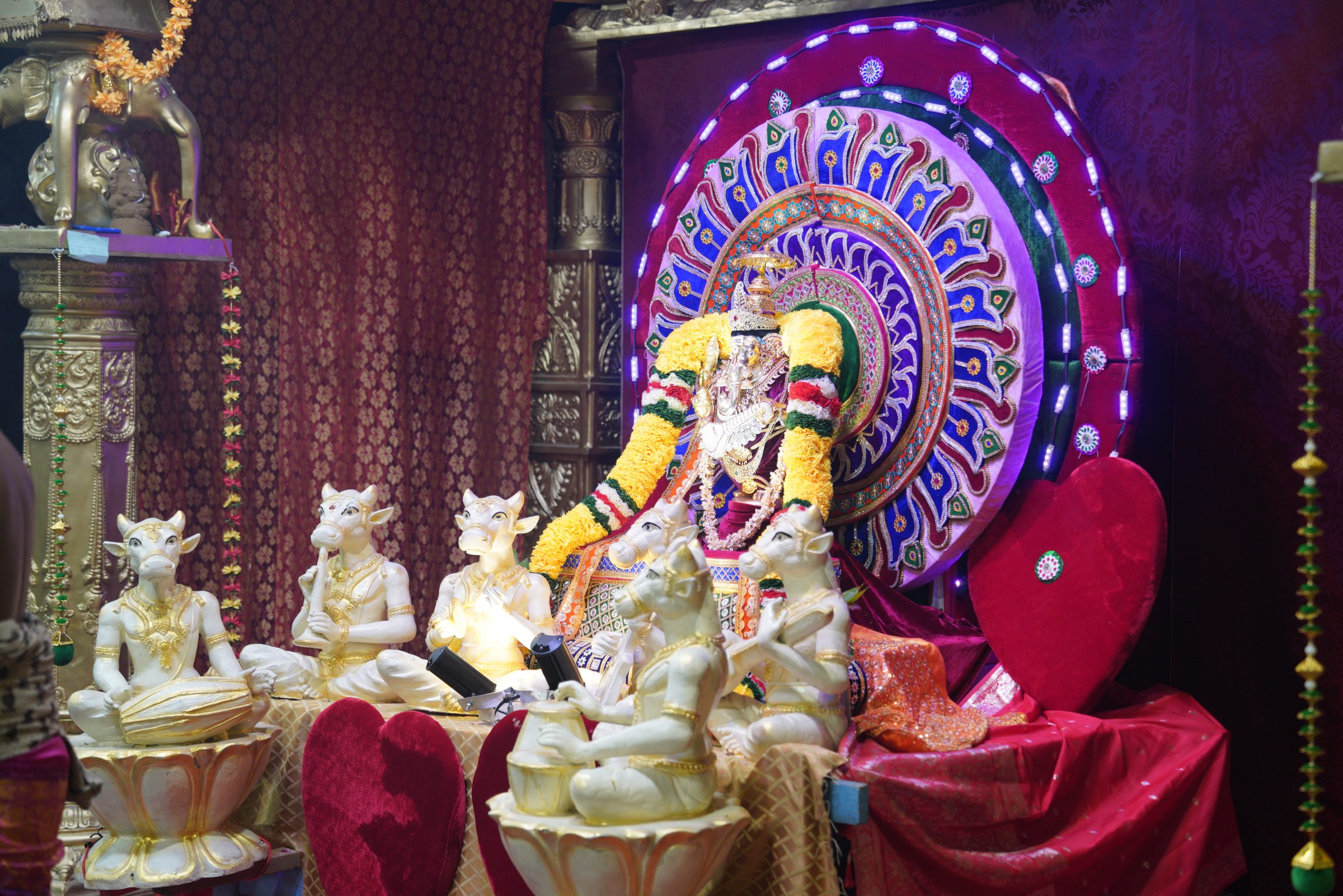 Festival 2026 photo