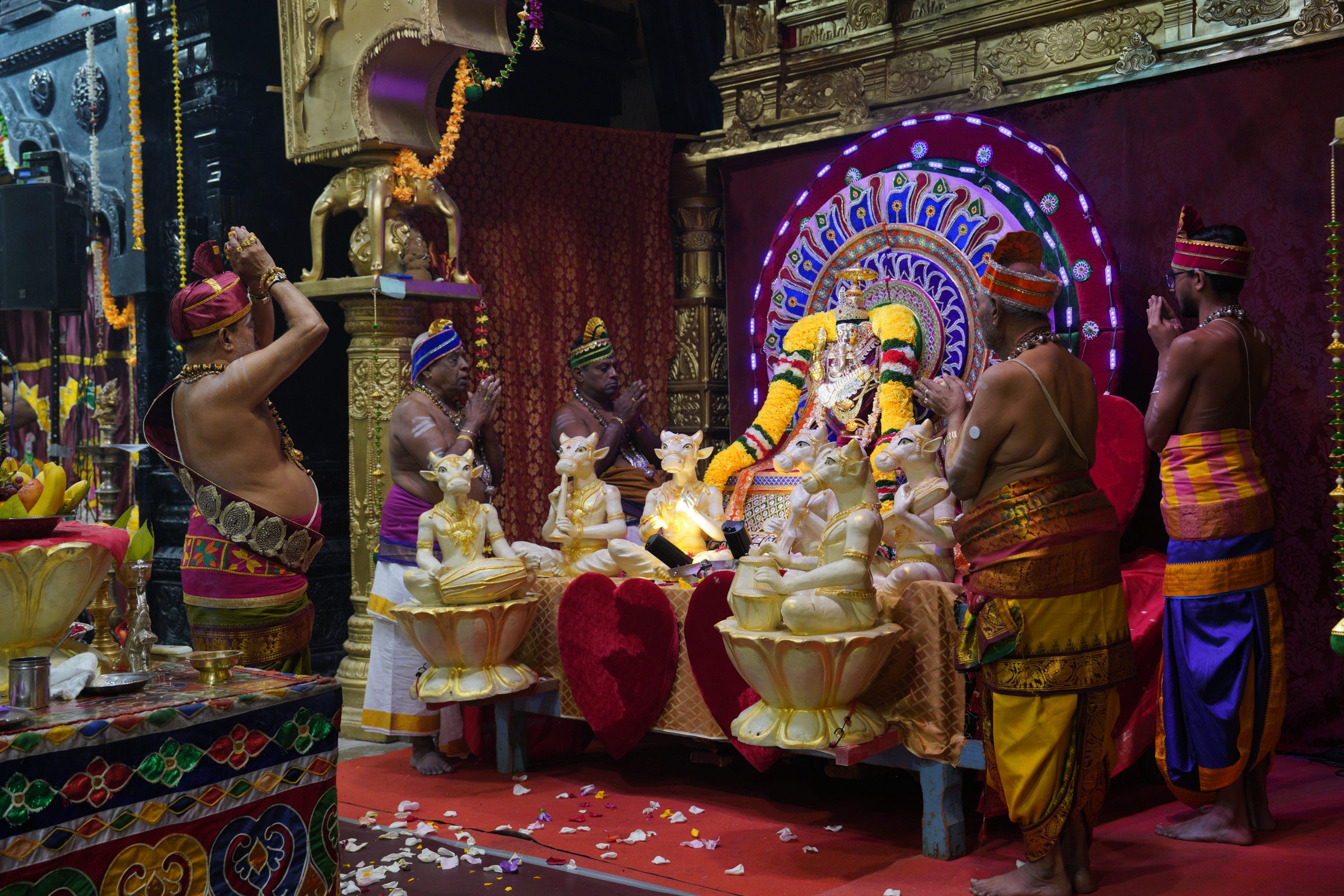 Festival 2026 photo