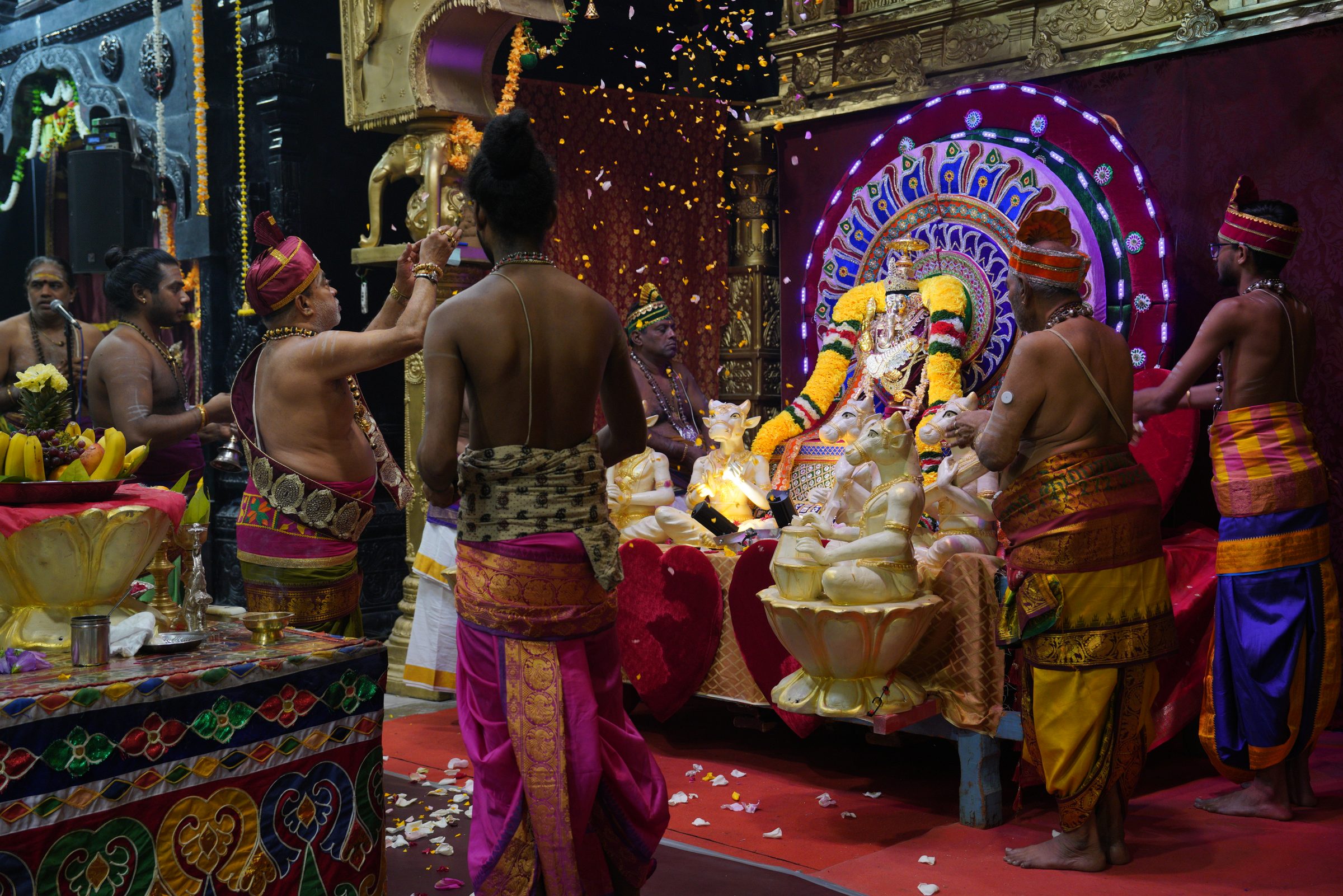 Festival 2026 photo
