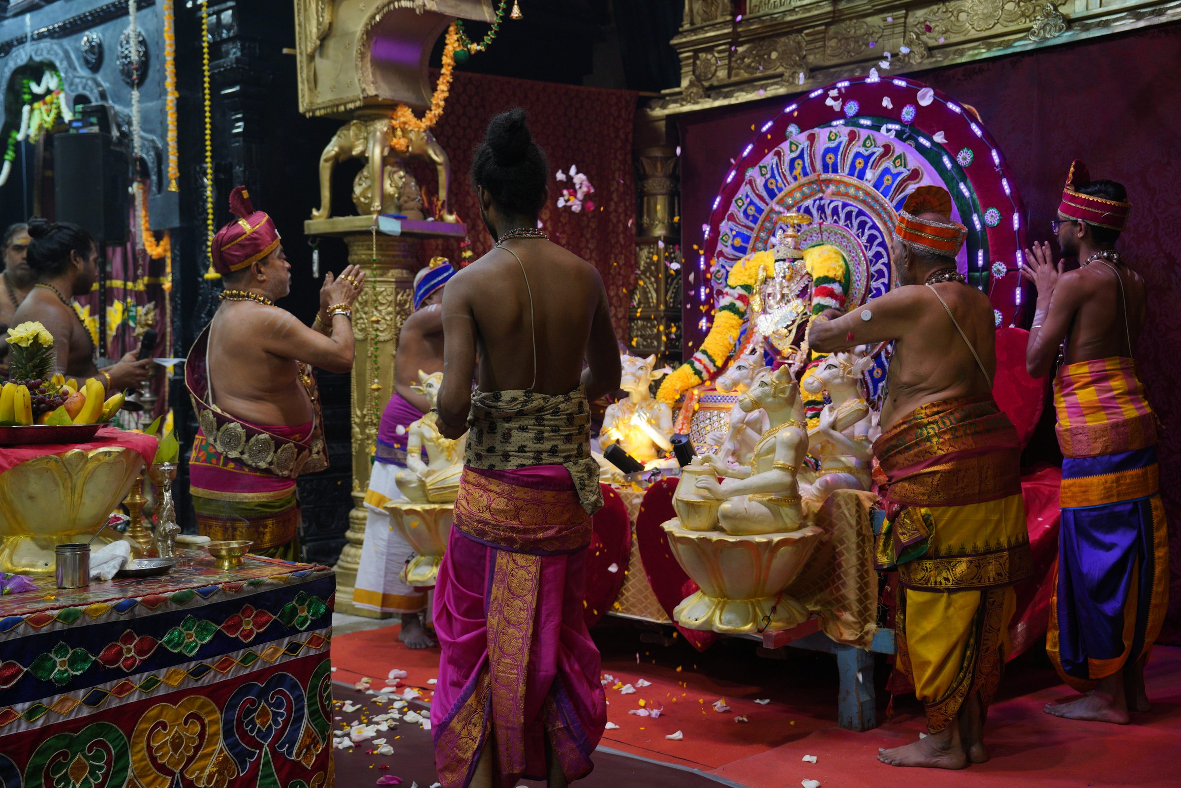 Festival 2026 photo