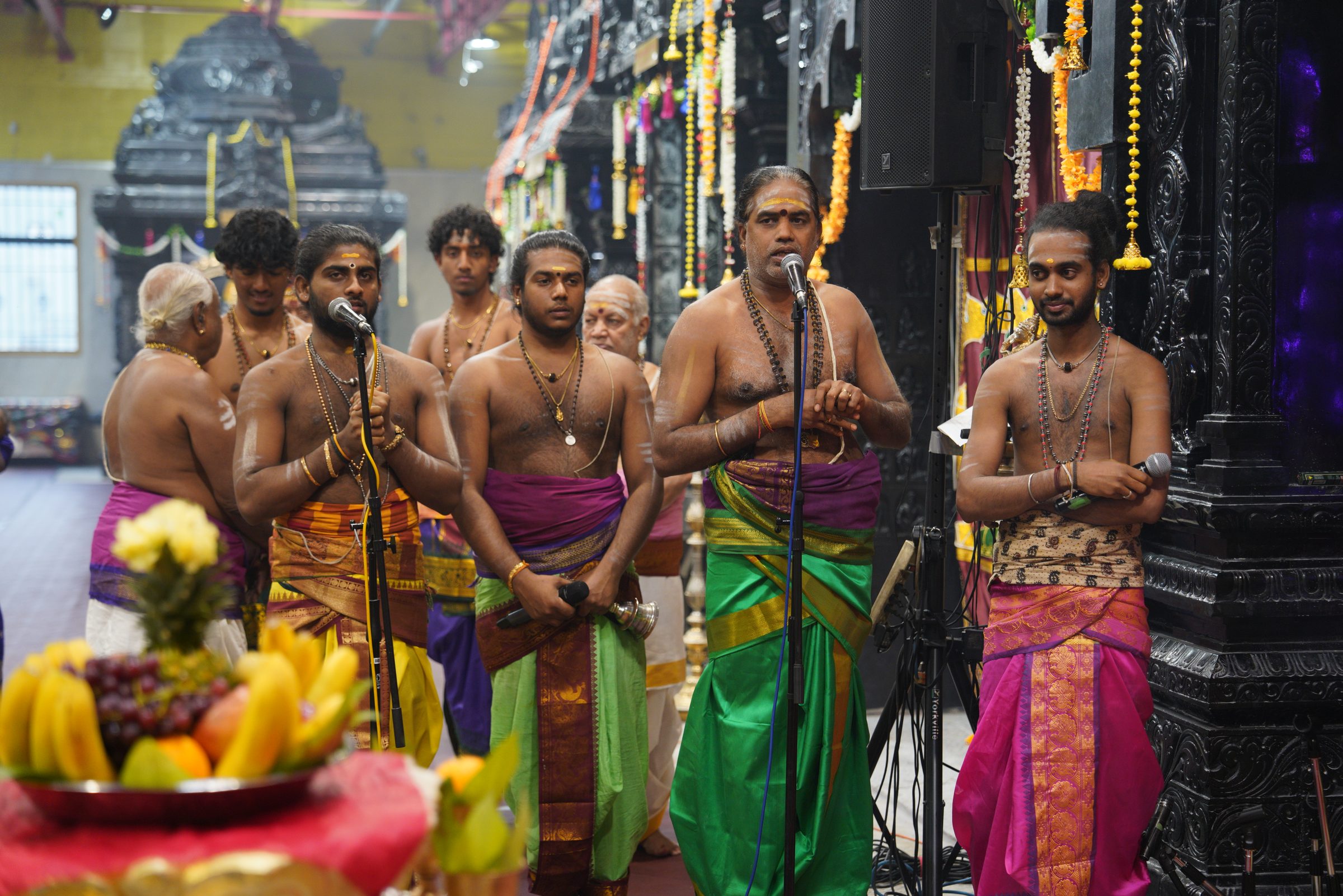 Festival 2026 photo