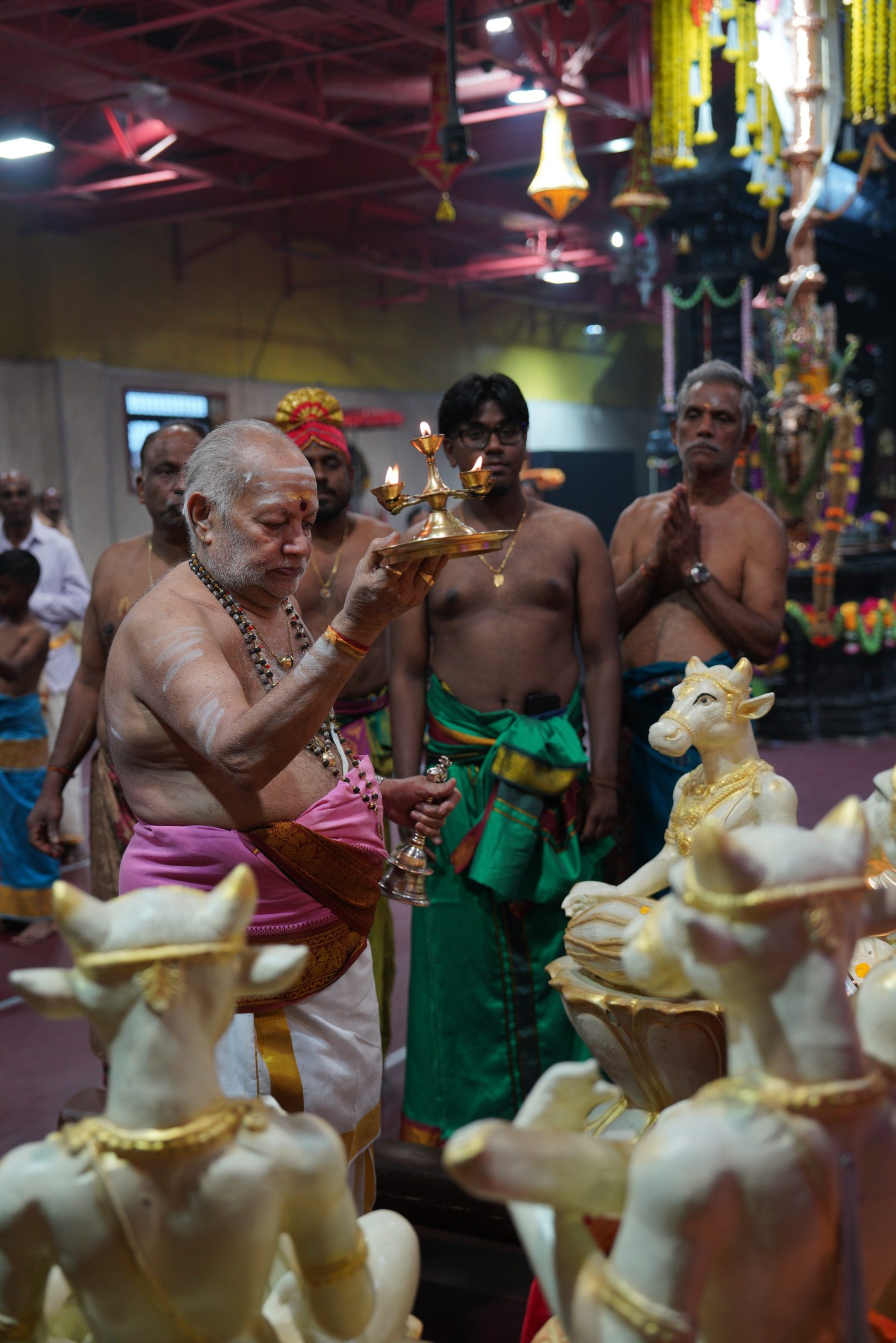 Festival 2026 photo