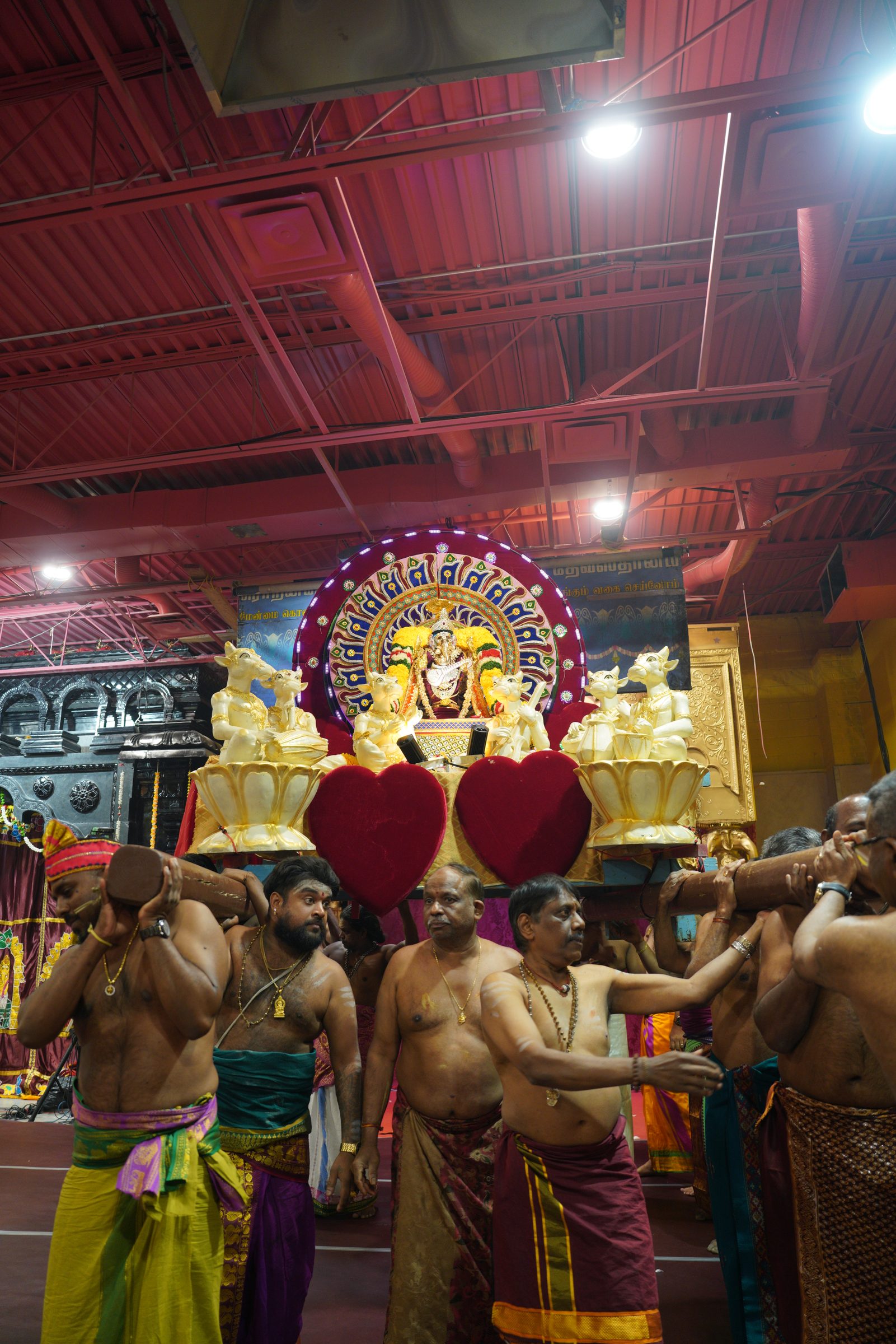 Festival 2026 photo