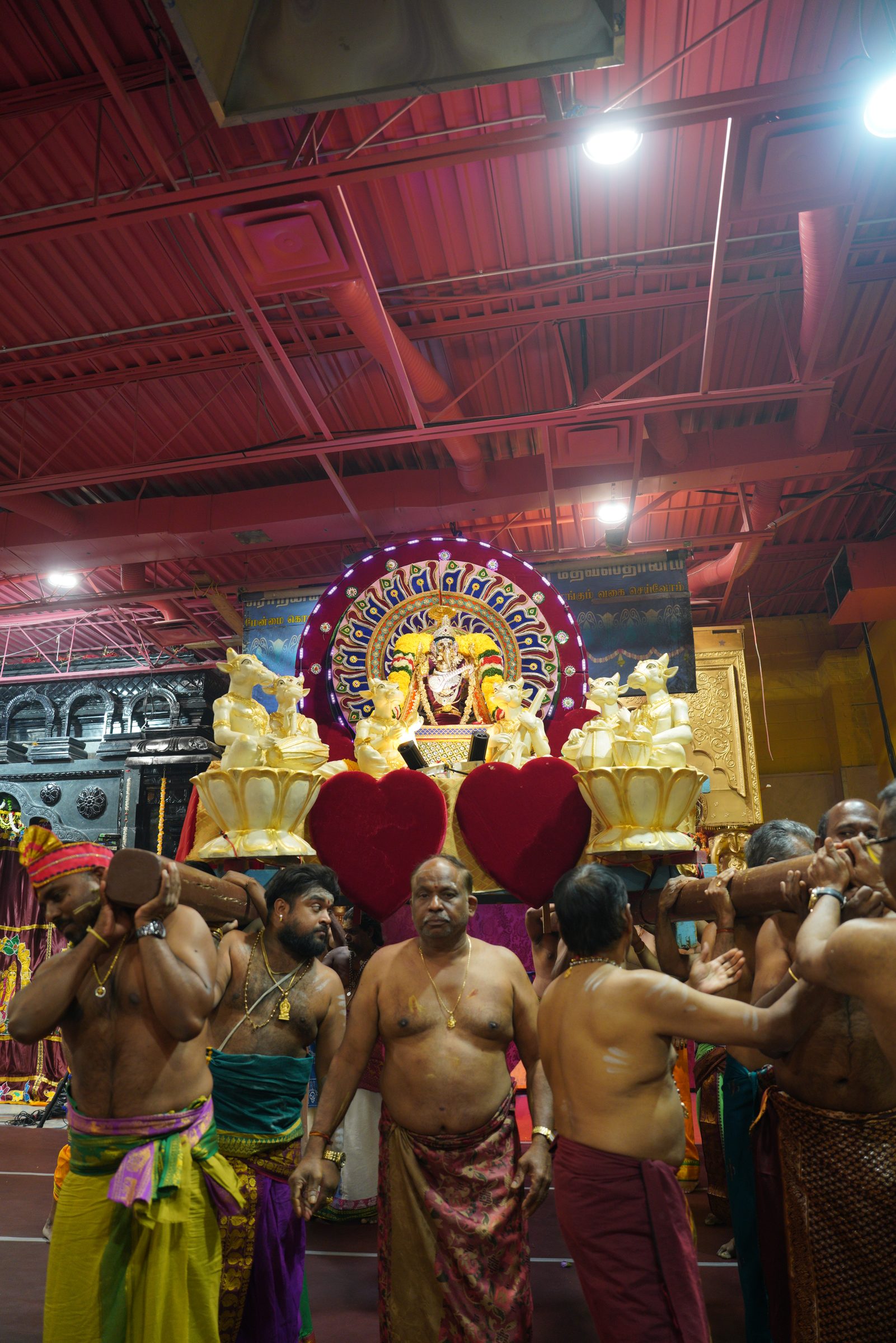 Festival 2026 photo