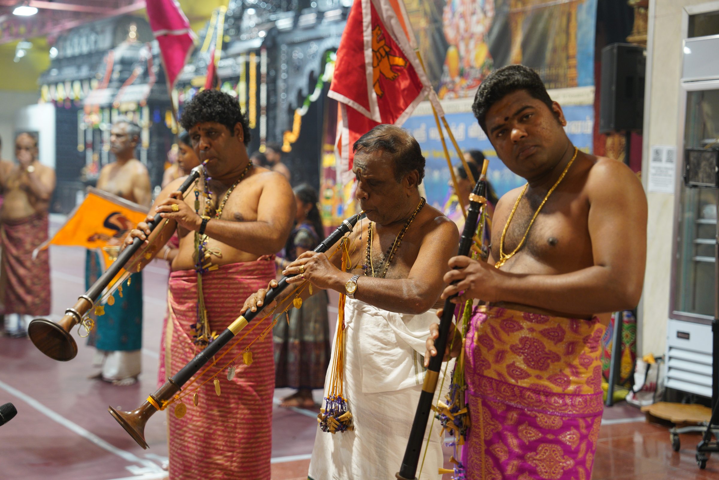 Festival 2026 photo