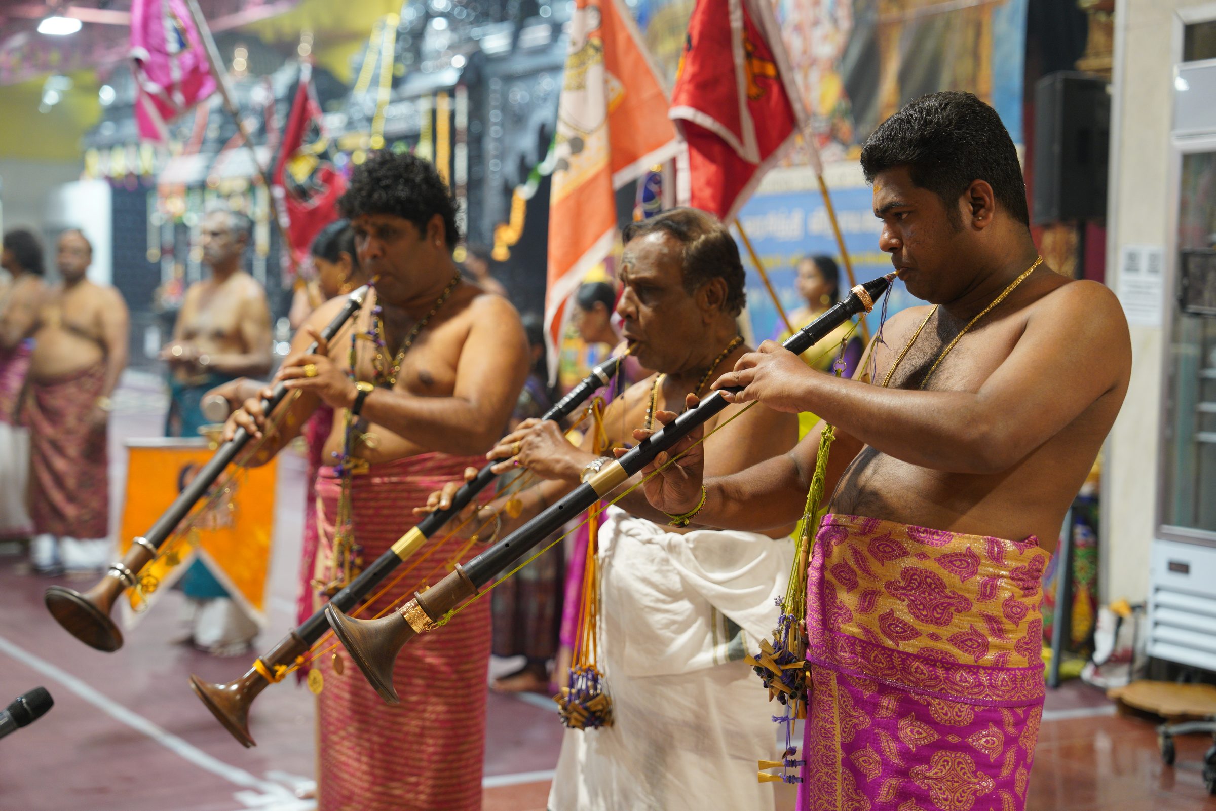 Festival 2026 photo