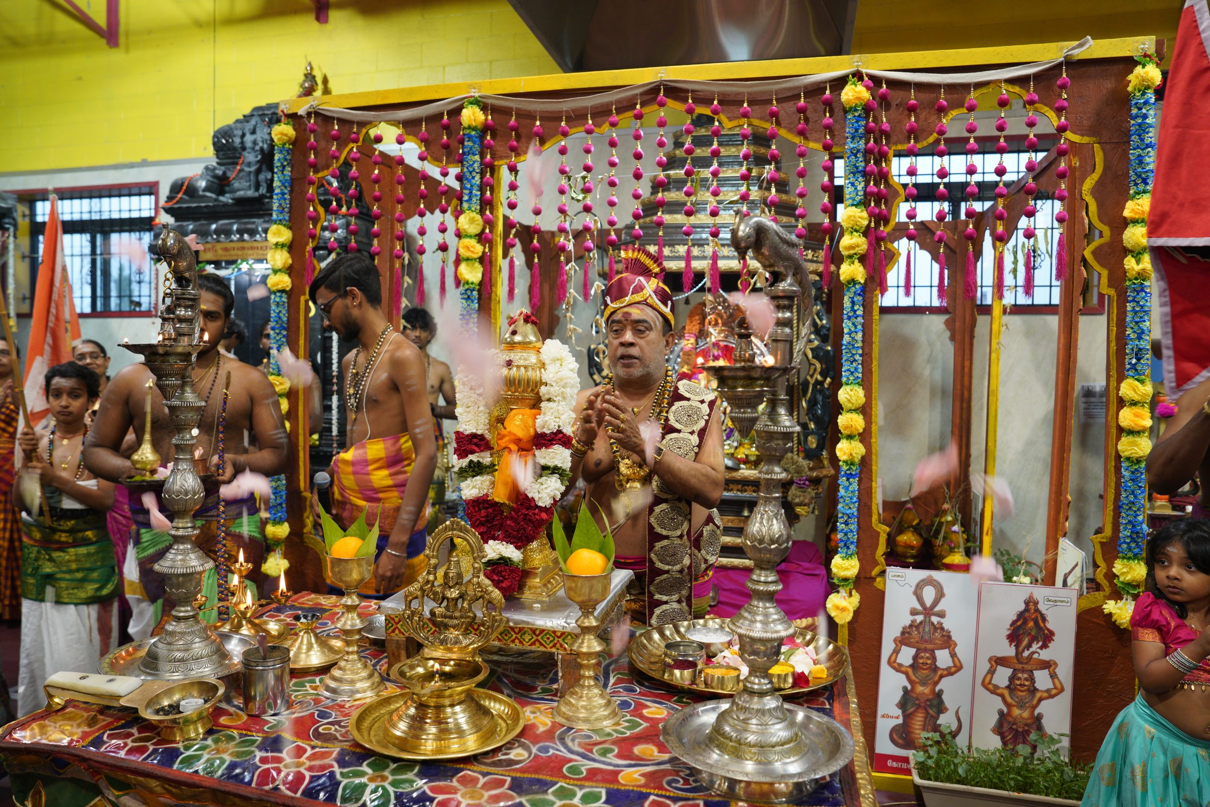 Festival 2026 photo