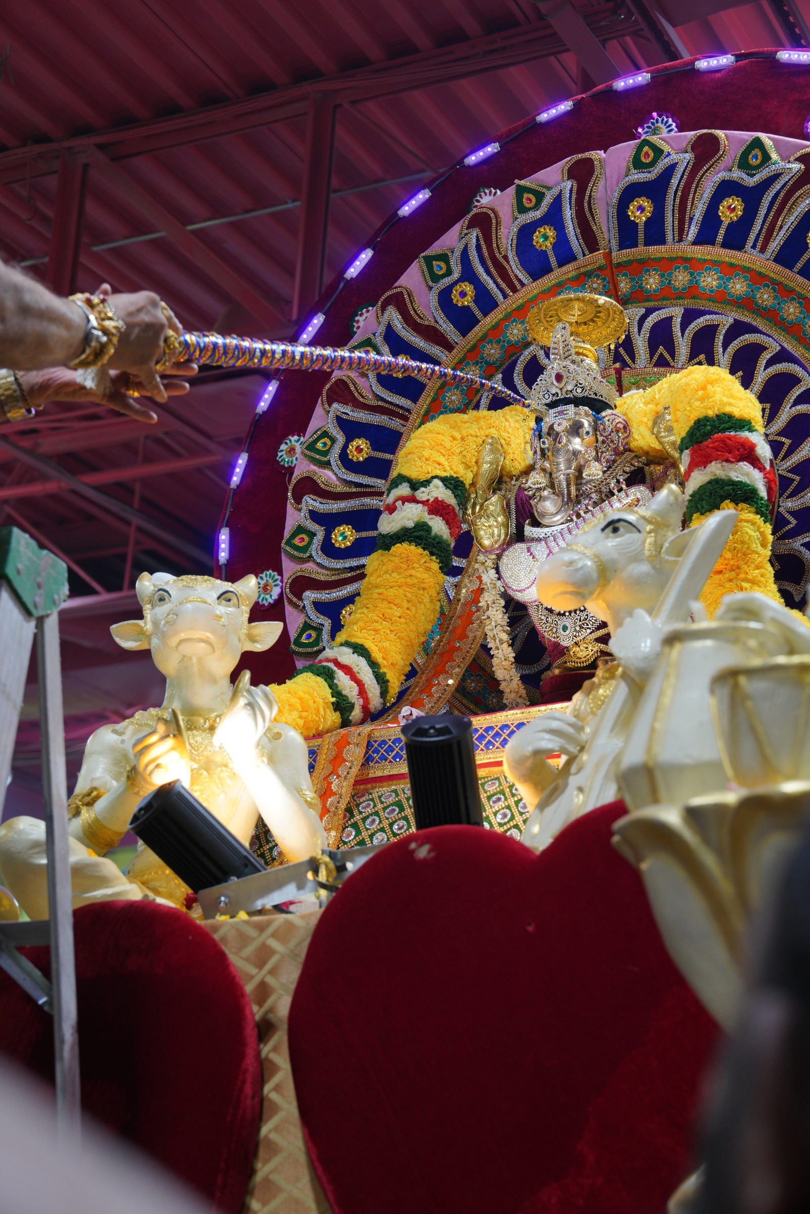 Festival 2026 photo