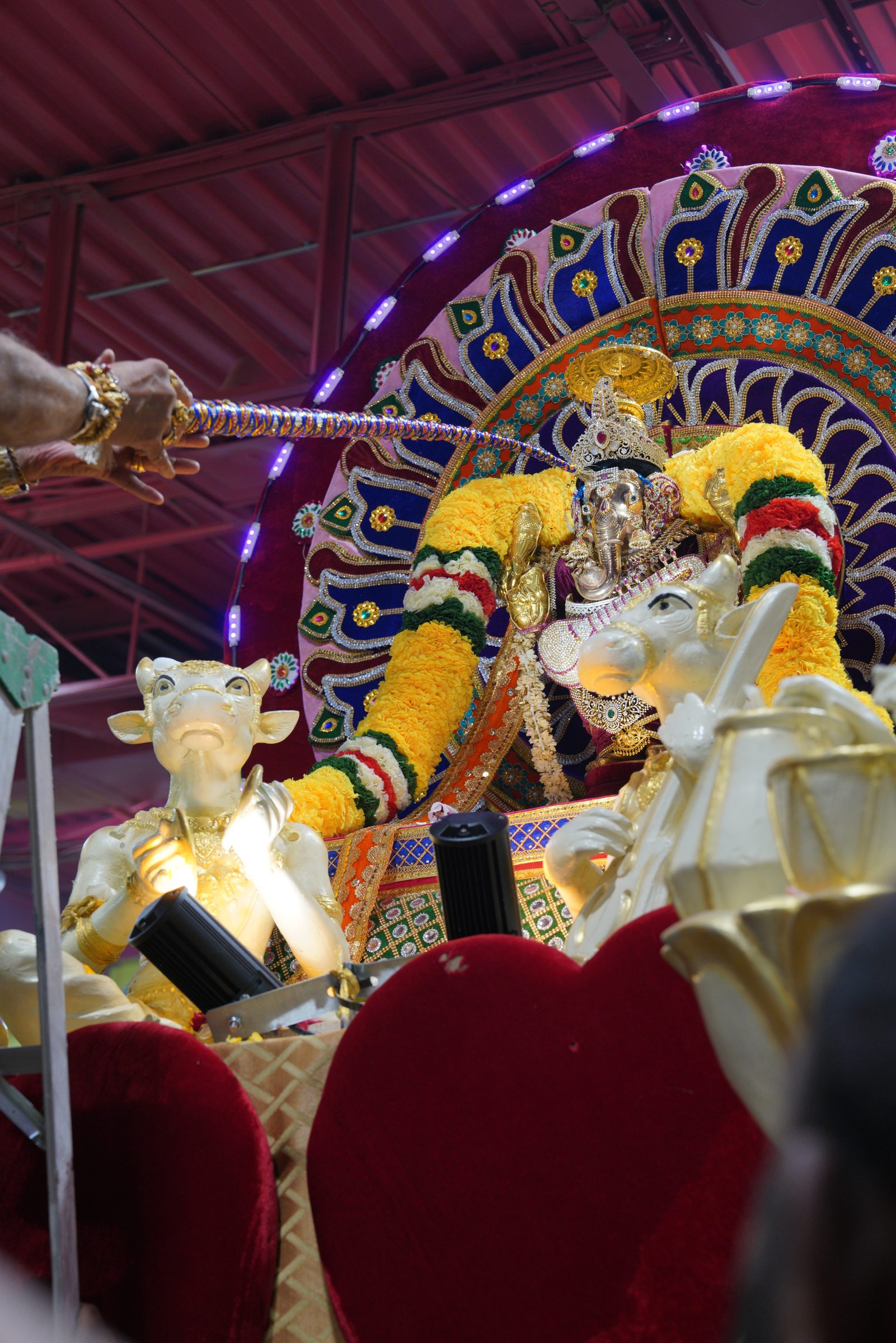 Festival 2026 photo