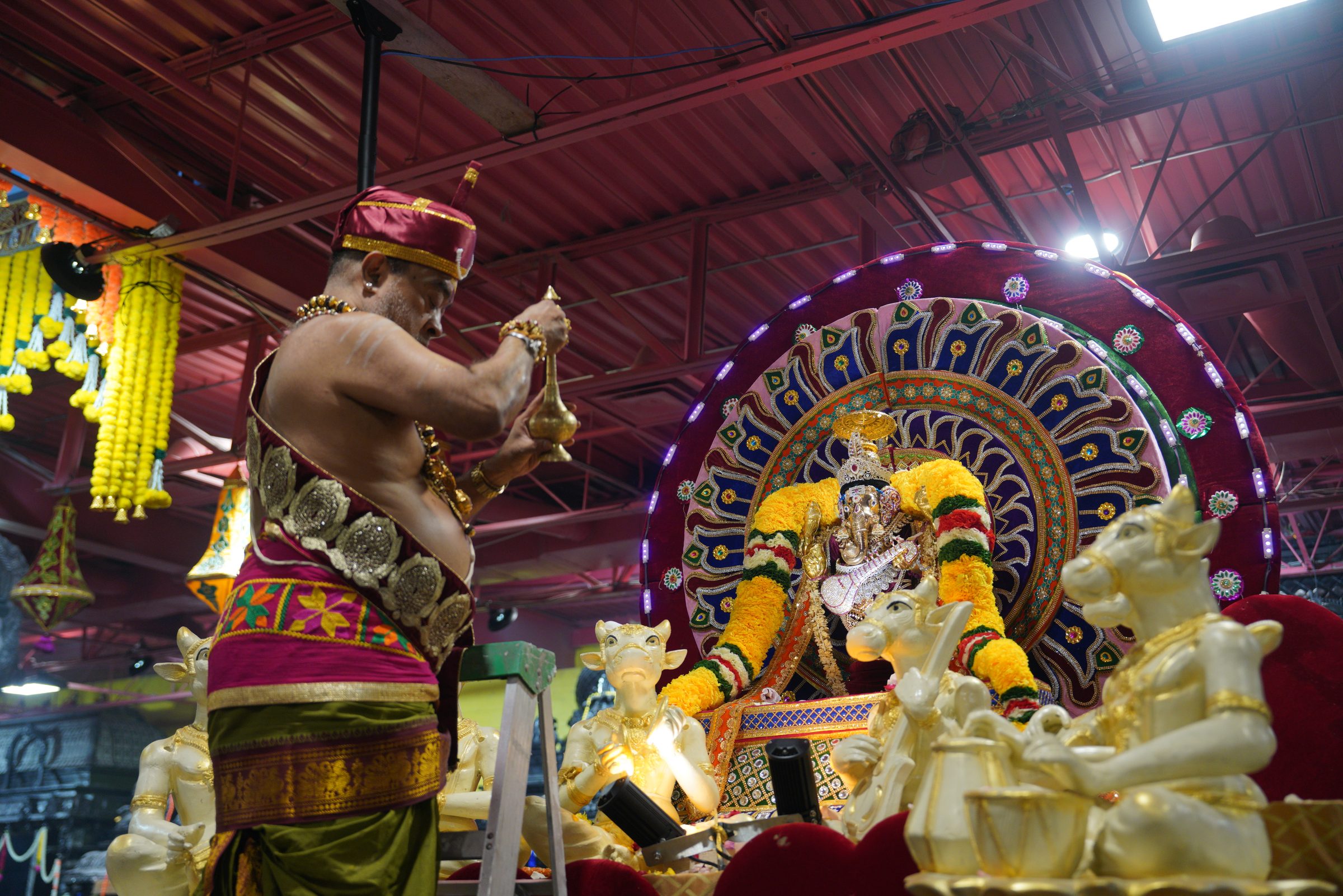 Festival 2026 photo
