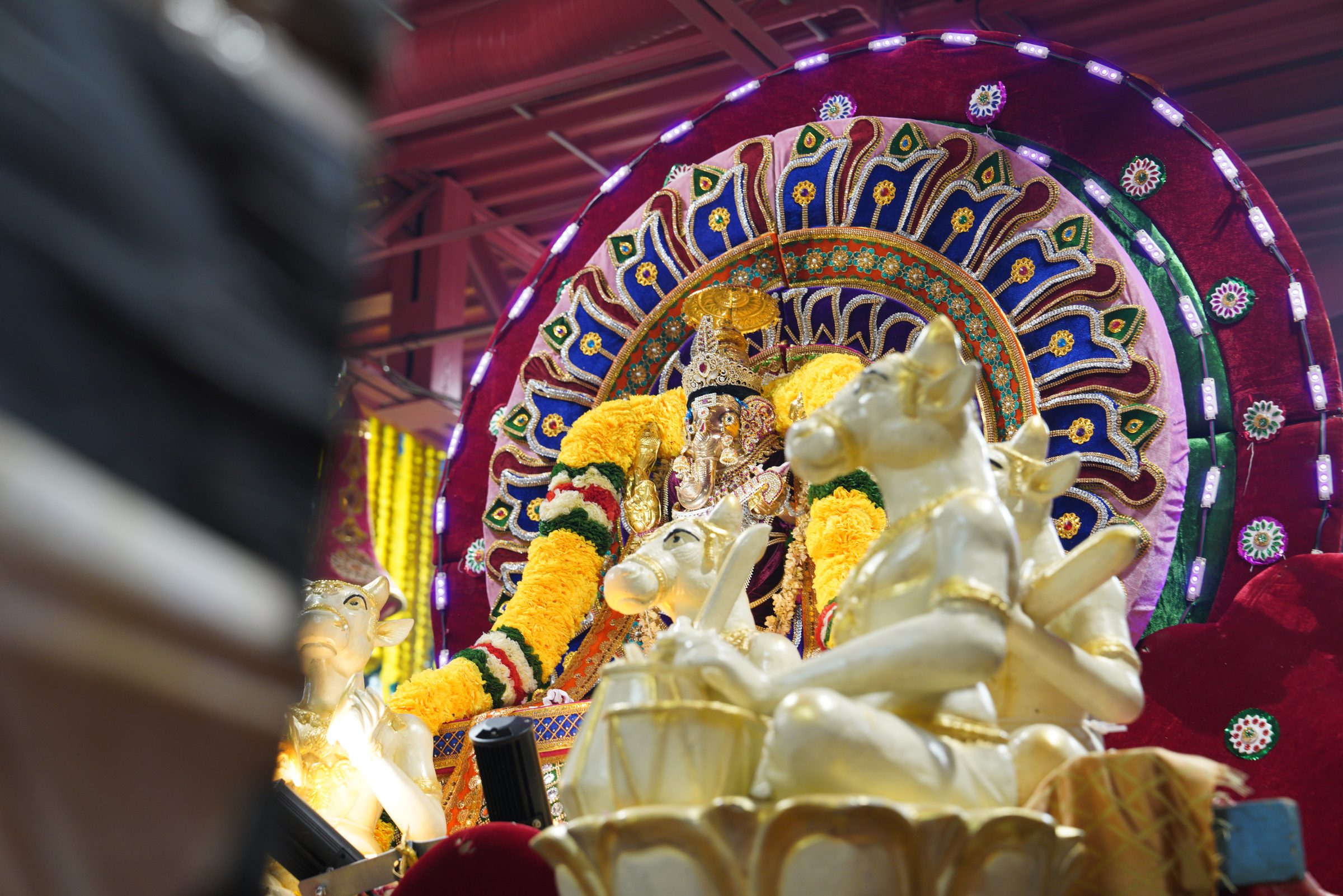 Festival 2026 photo