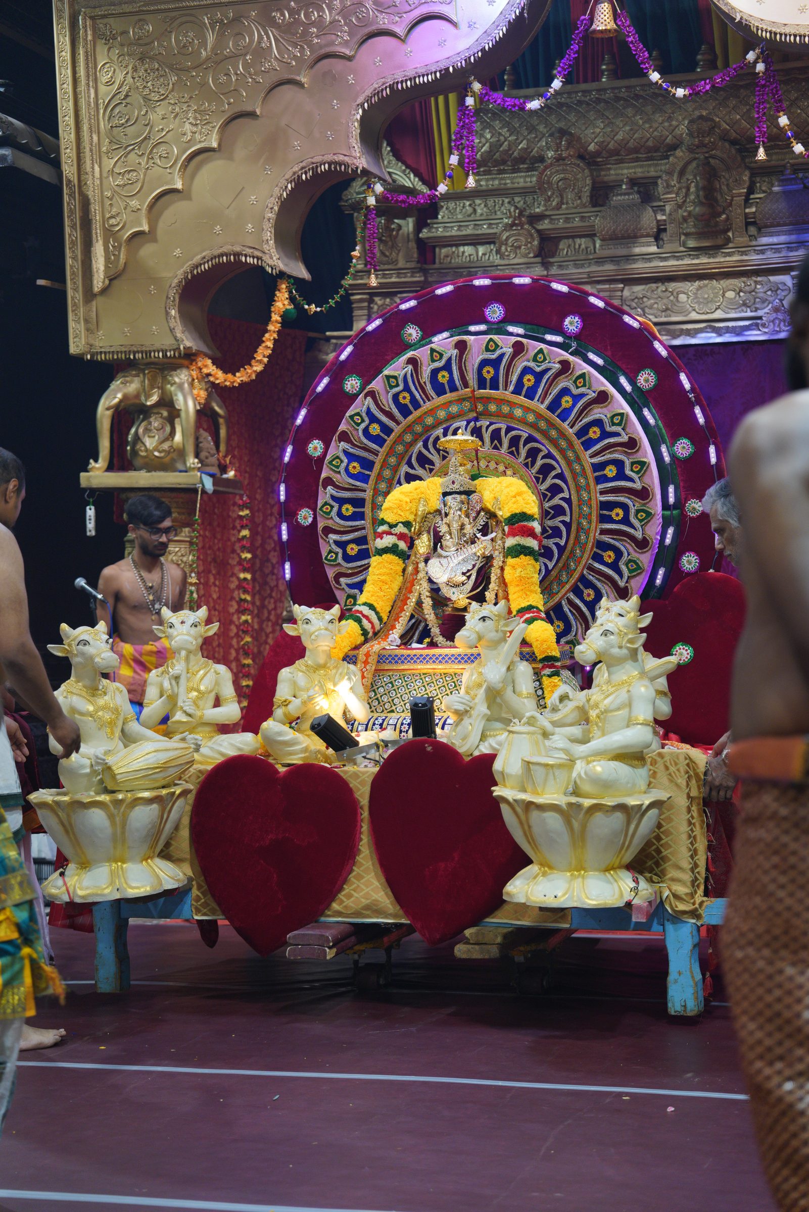 Festival 2026 photo