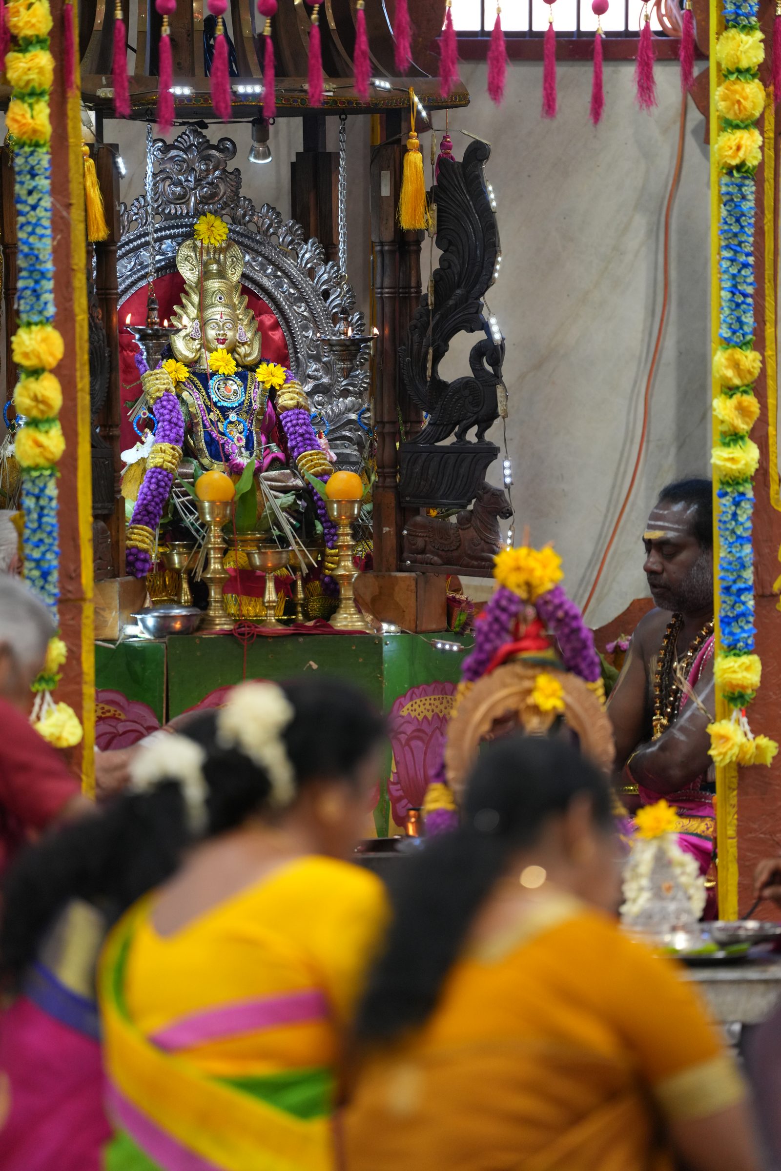 Varaluxumi Viratham 2026 photo
