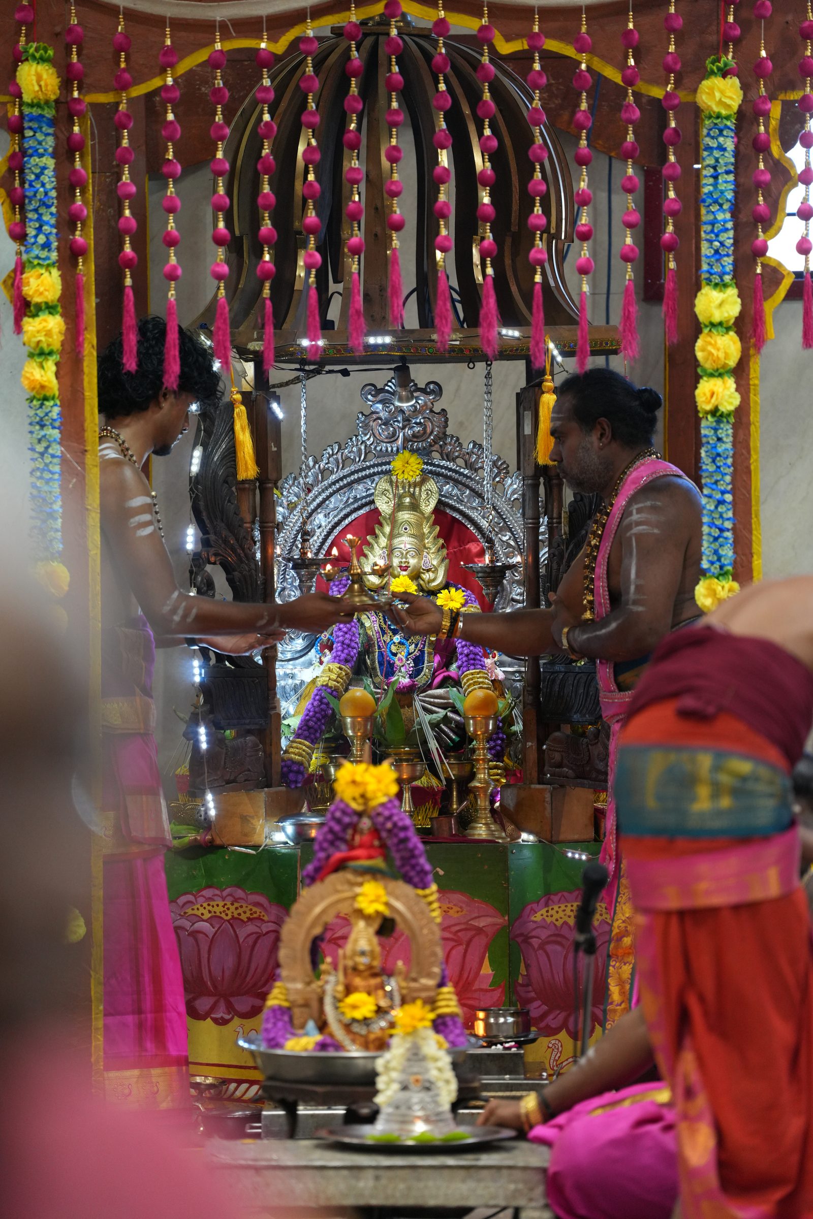 Varaluxumi Viratham 2026 photo