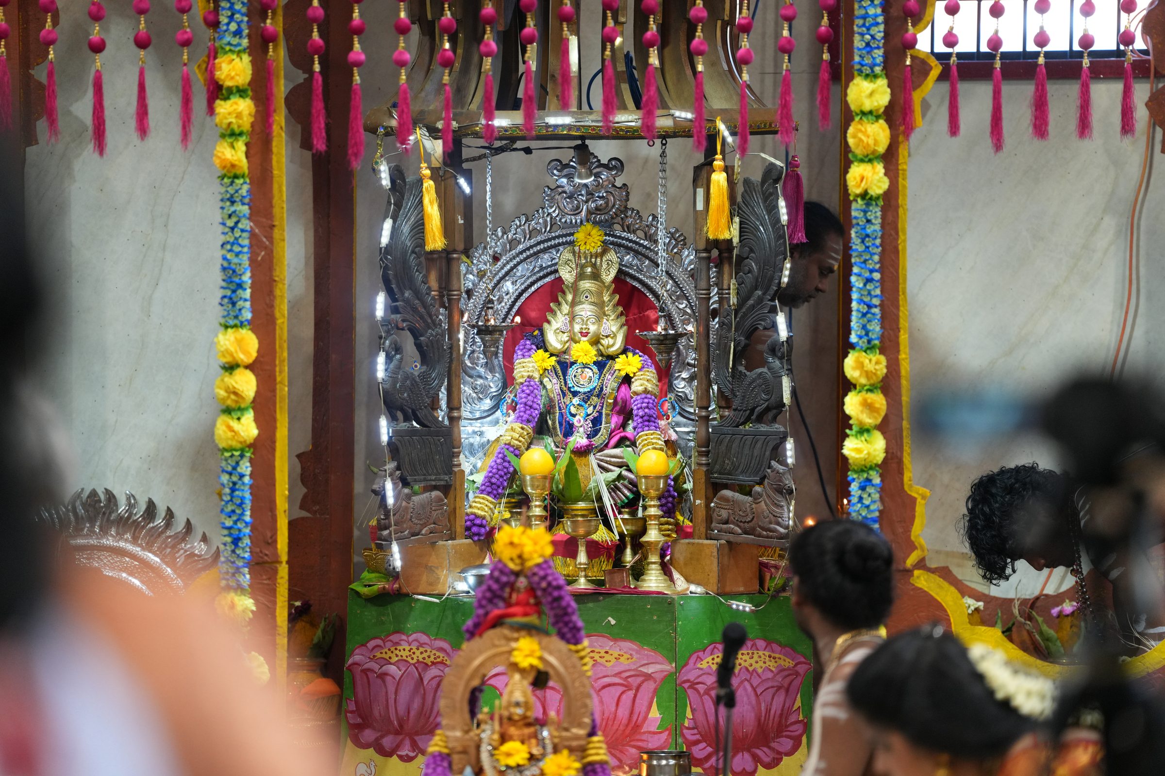 Varaluxumi Viratham 2026 photo
