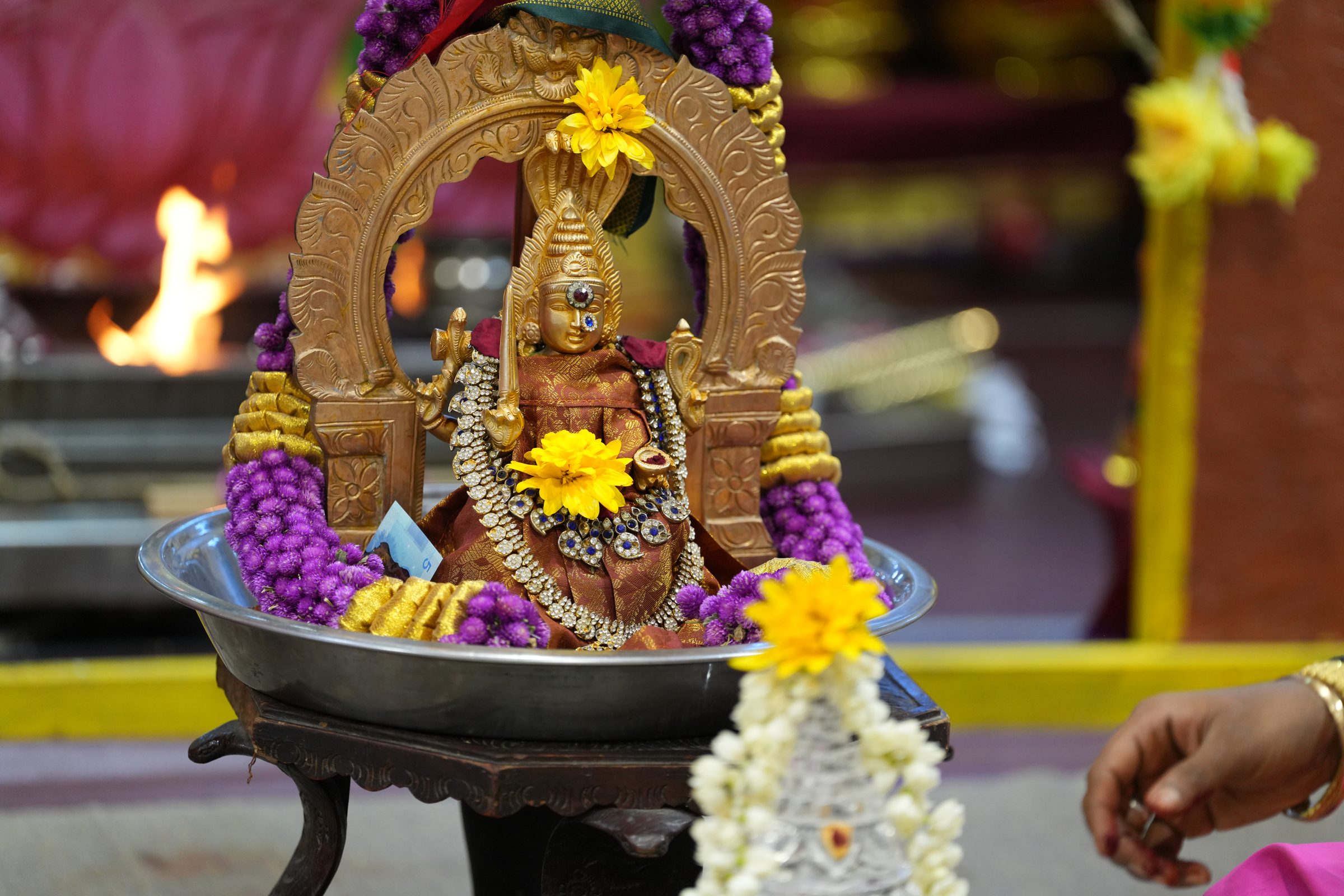 Varaluxumi Viratham 2026 photo