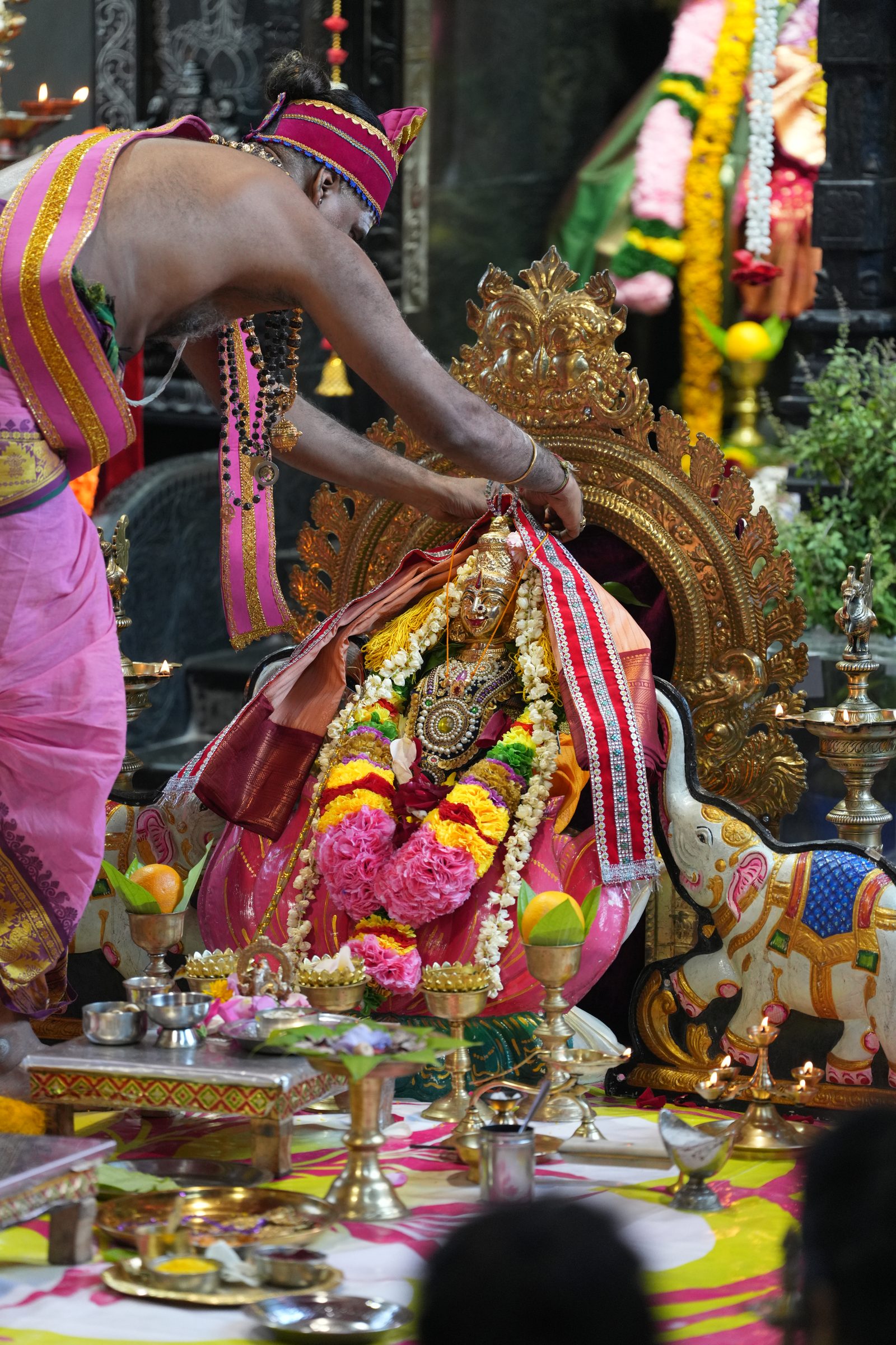 Varaluxumi Viratham 2026 photo