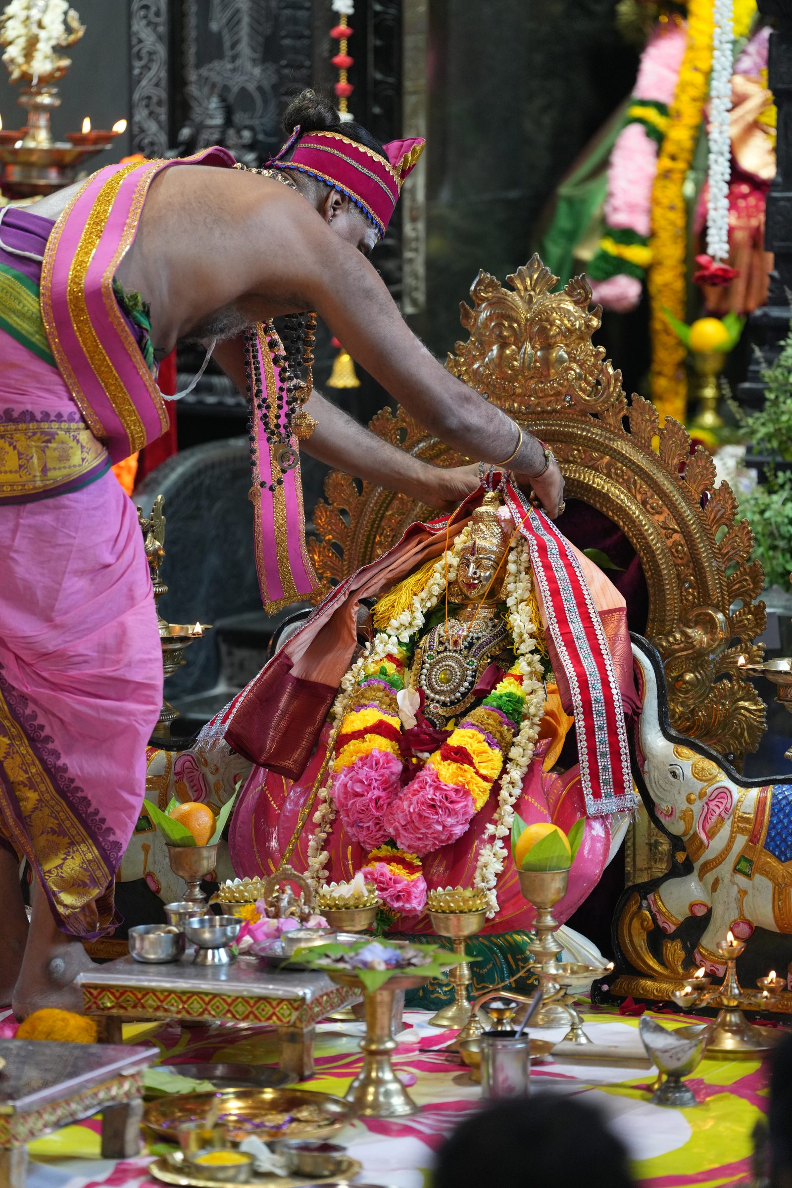 Varaluxumi Viratham 2026 photo