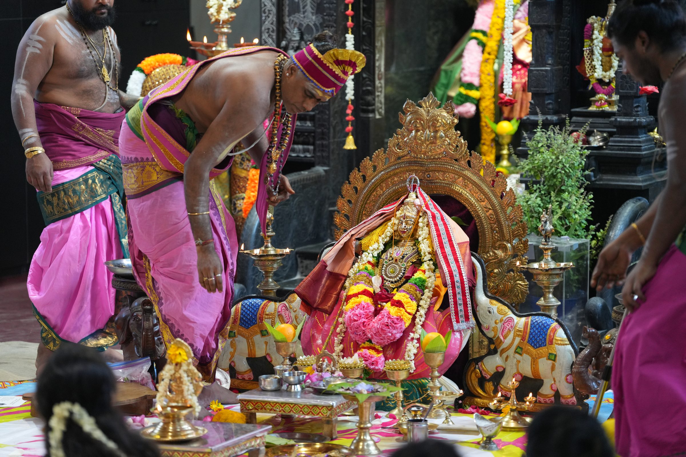 Varaluxumi Viratham 2026 photo