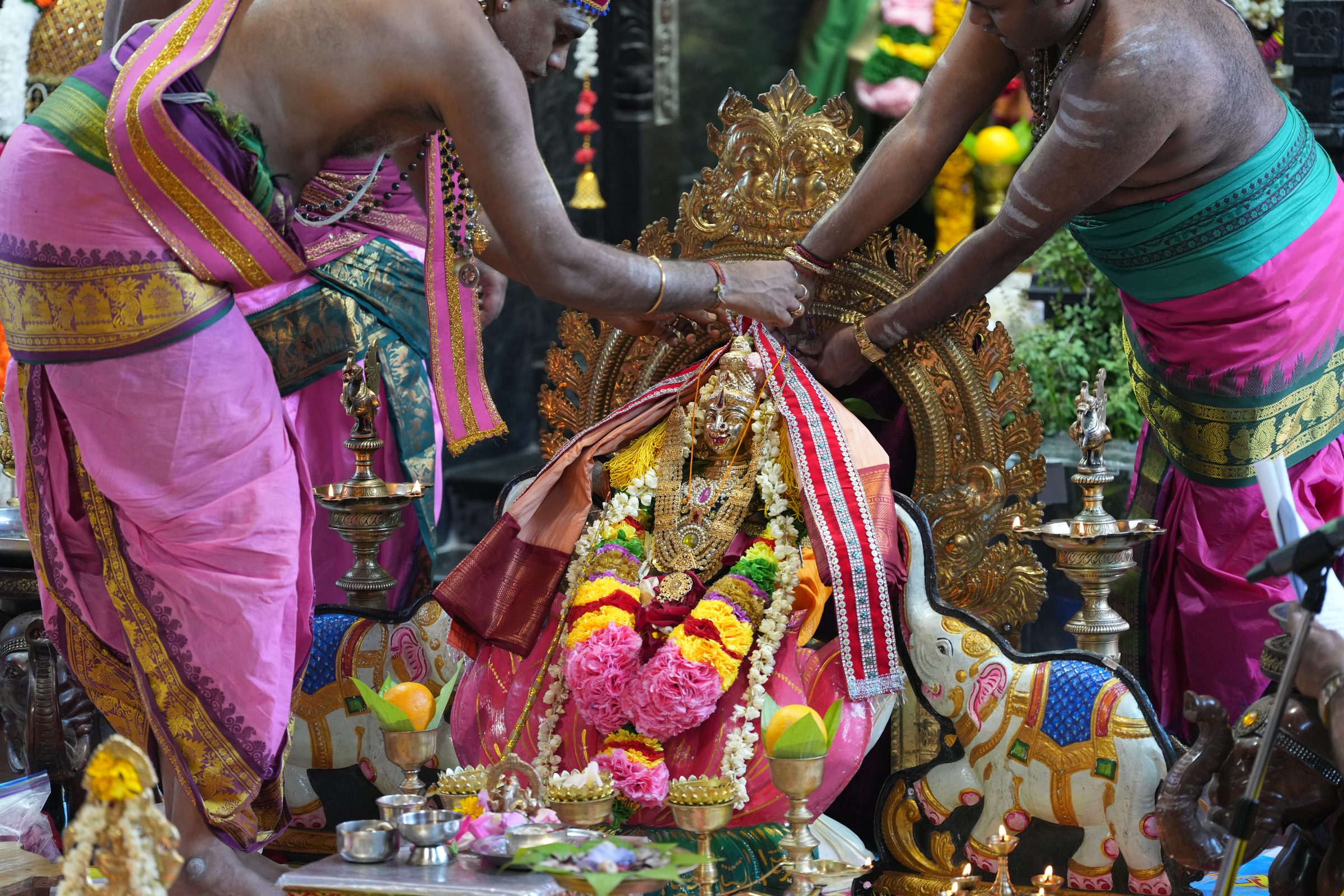 Varaluxumi Viratham 2026 photo