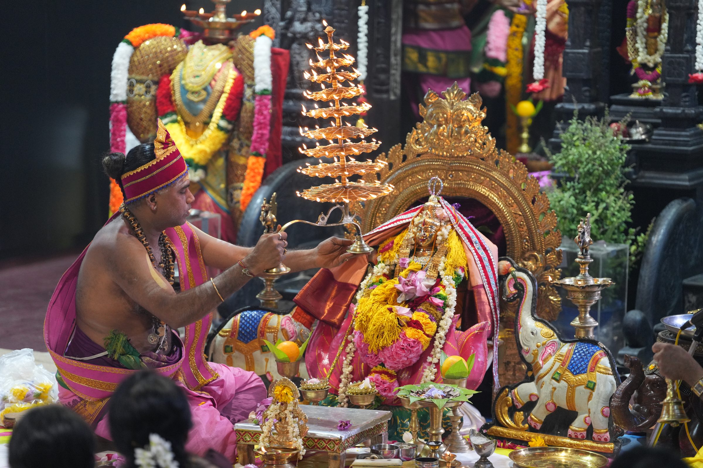 Varaluxumi Viratham 2026 photo