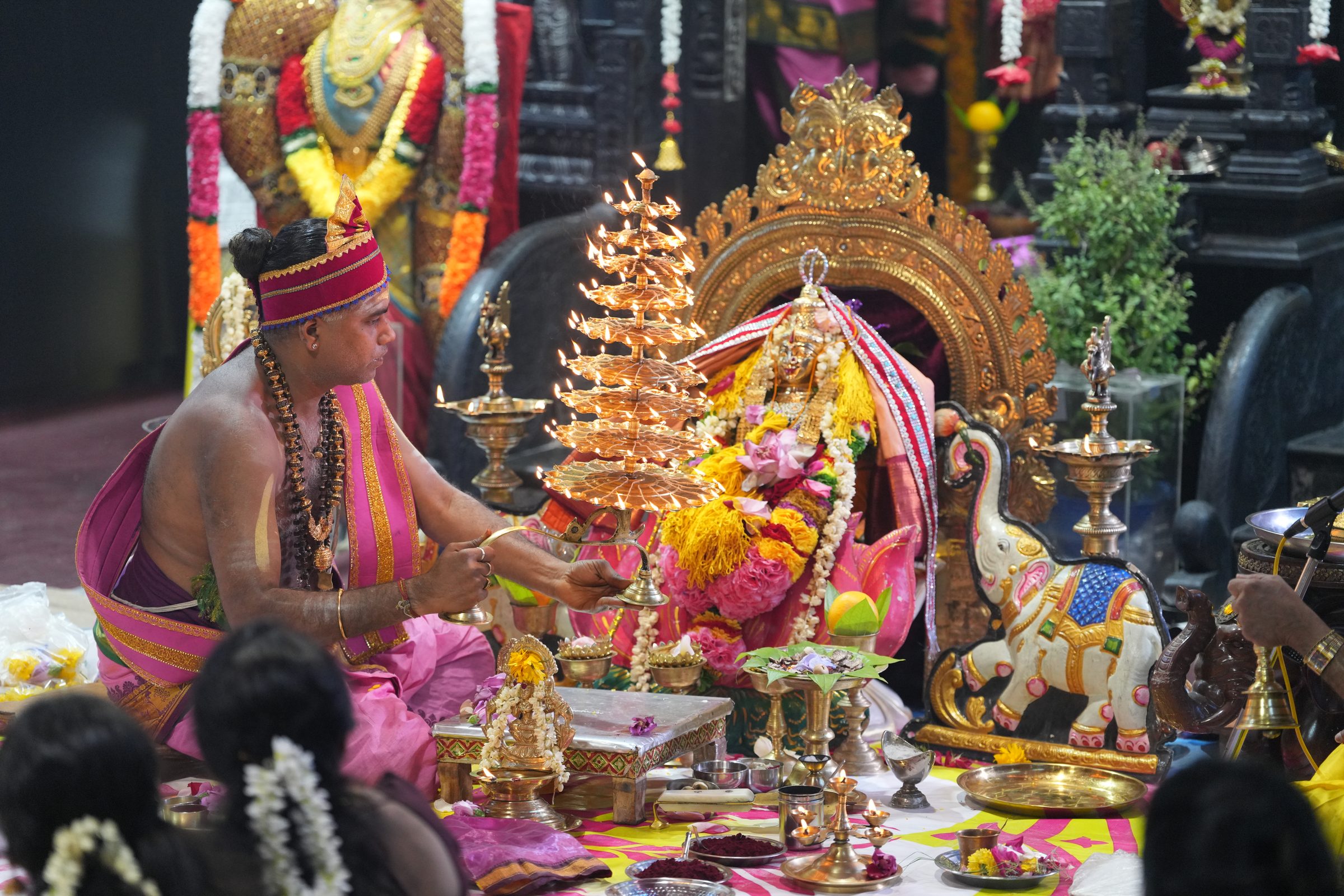Varaluxumi Viratham 2026 photo