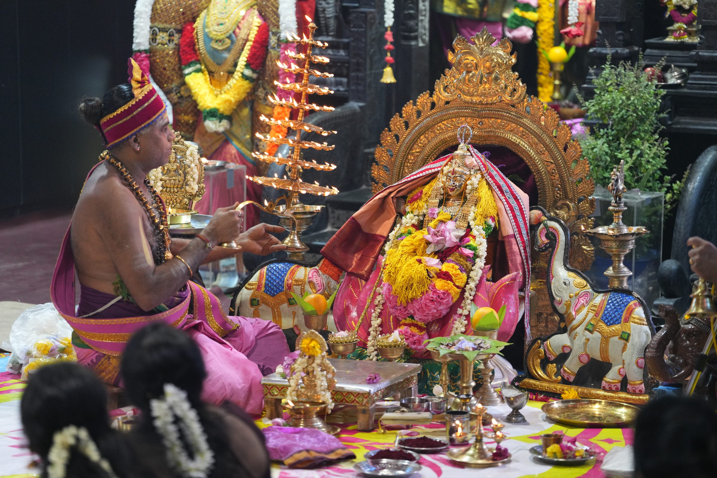 Varaluxumi Viratham 2026 photo