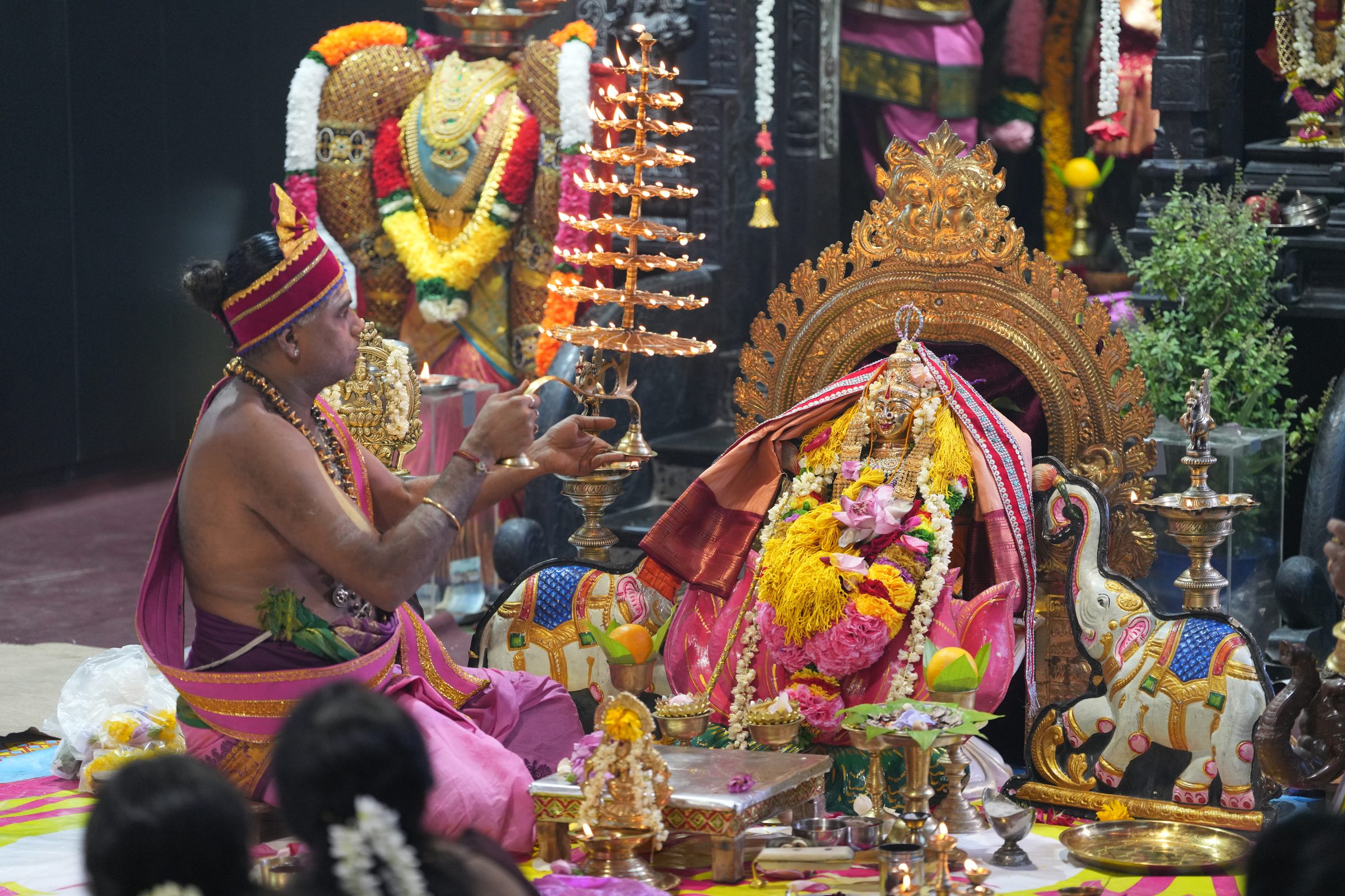 Varaluxumi Viratham 2026 photo