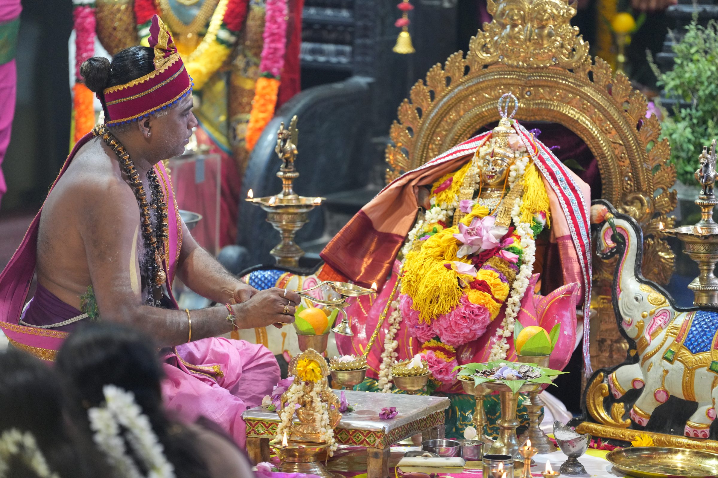 Varaluxumi Viratham 2026 photo