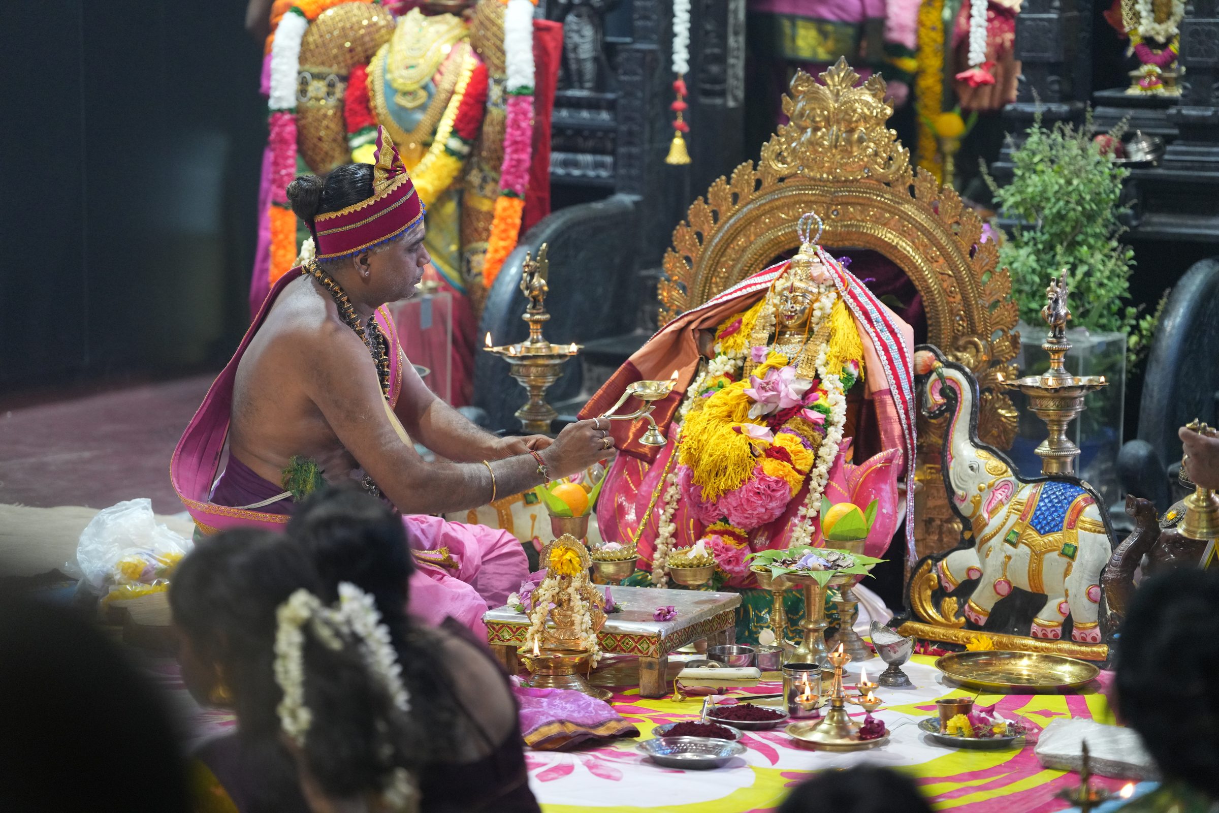 Varaluxumi Viratham 2026 photo