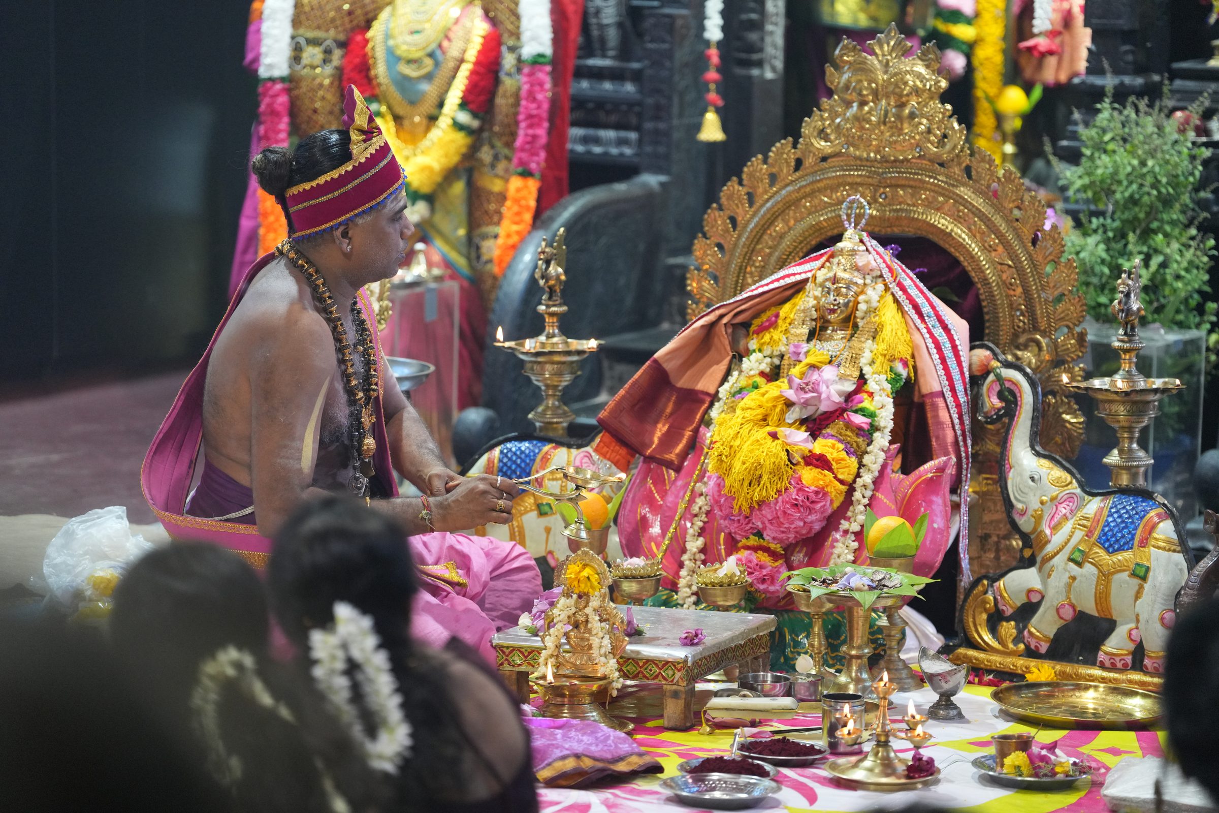 Varaluxumi Viratham 2026 photo