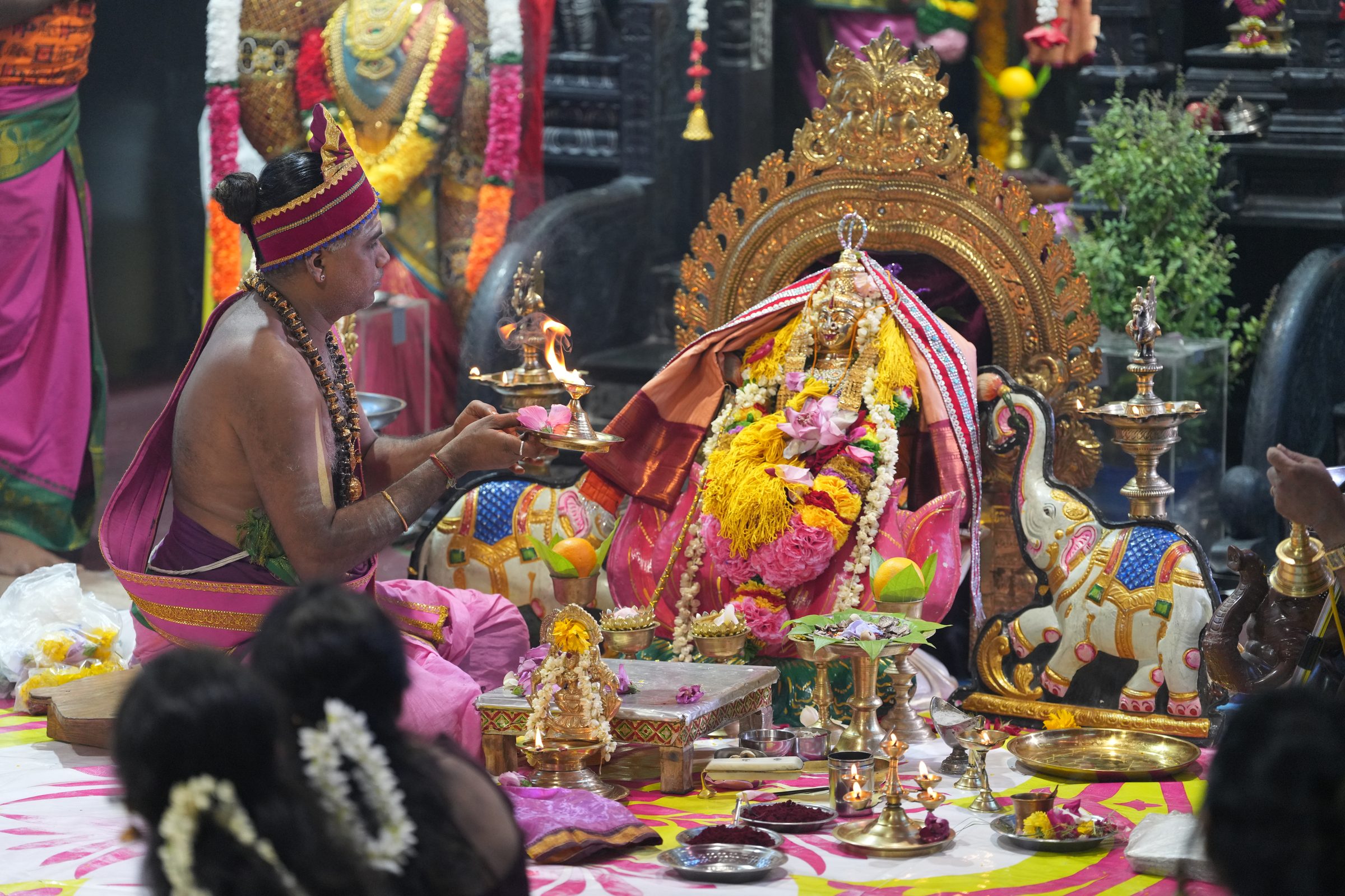 Varaluxumi Viratham 2026 photo