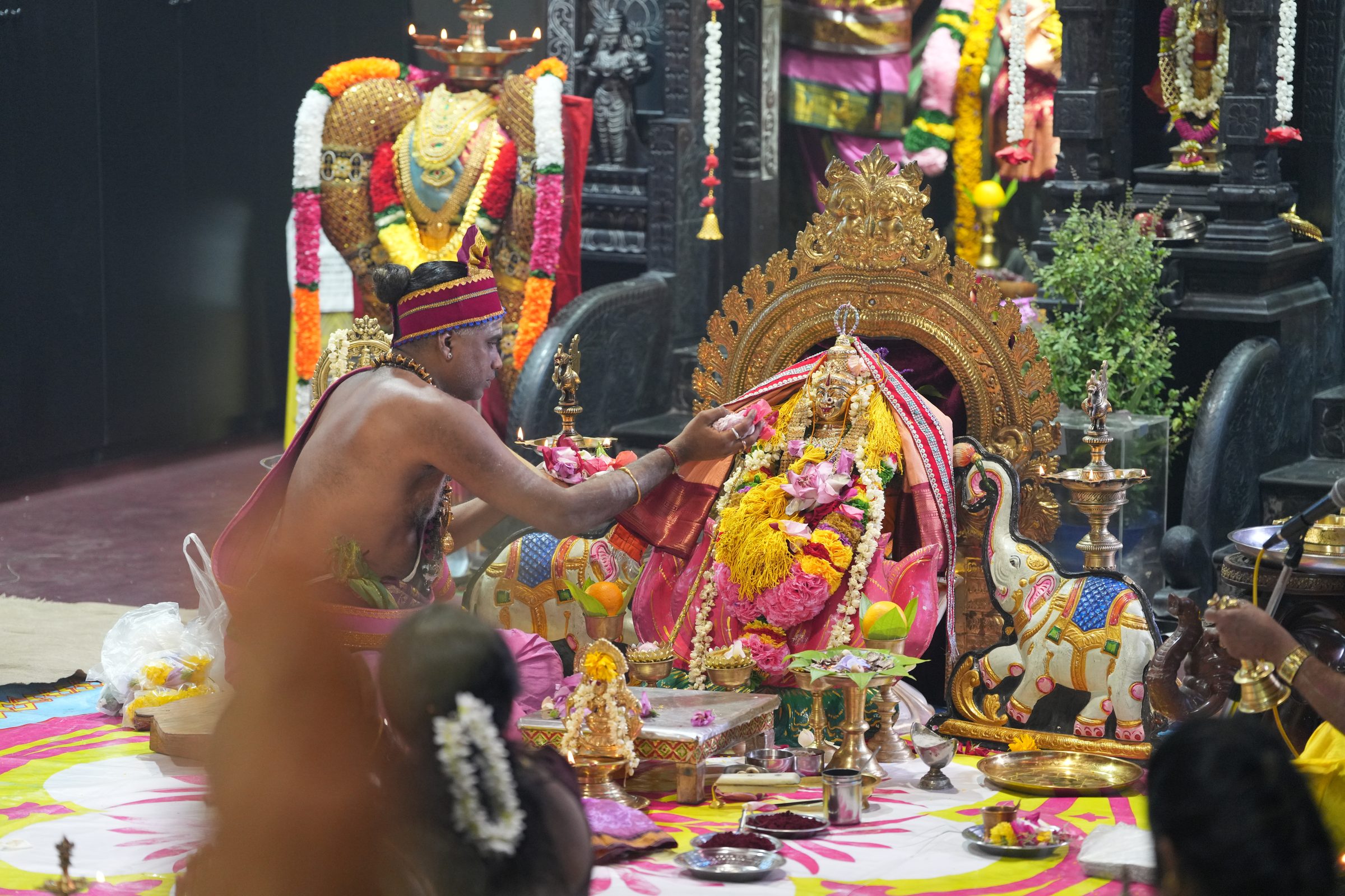 Varaluxumi Viratham 2026 photo