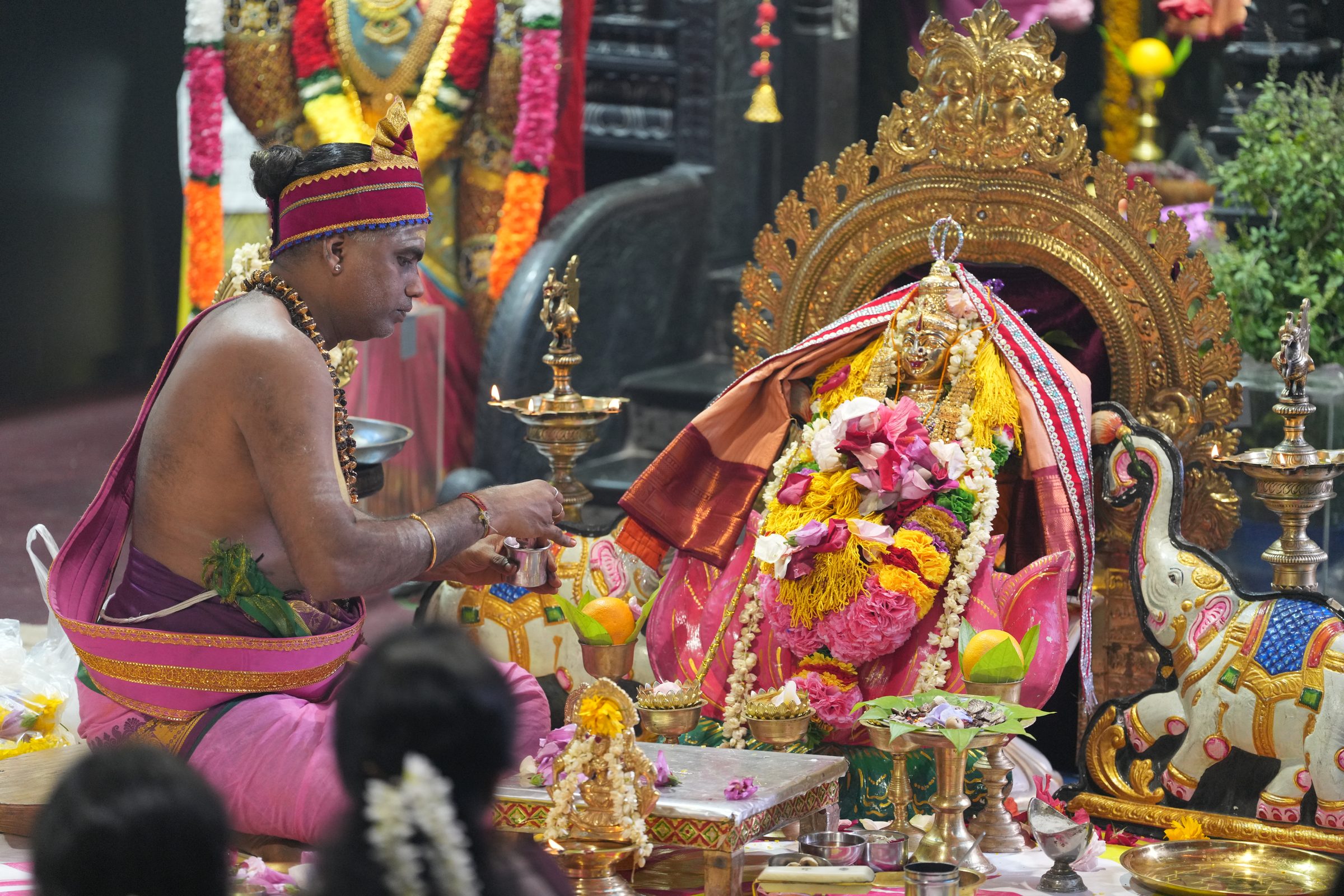 Varaluxumi Viratham 2026 photo